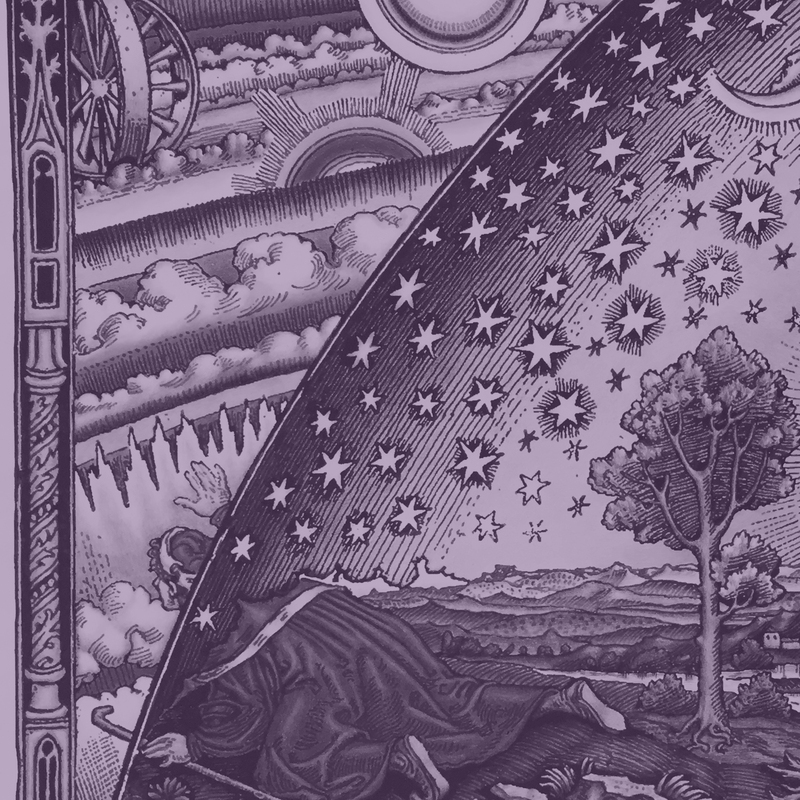 Process Thought and Science 2025 (Session 4)