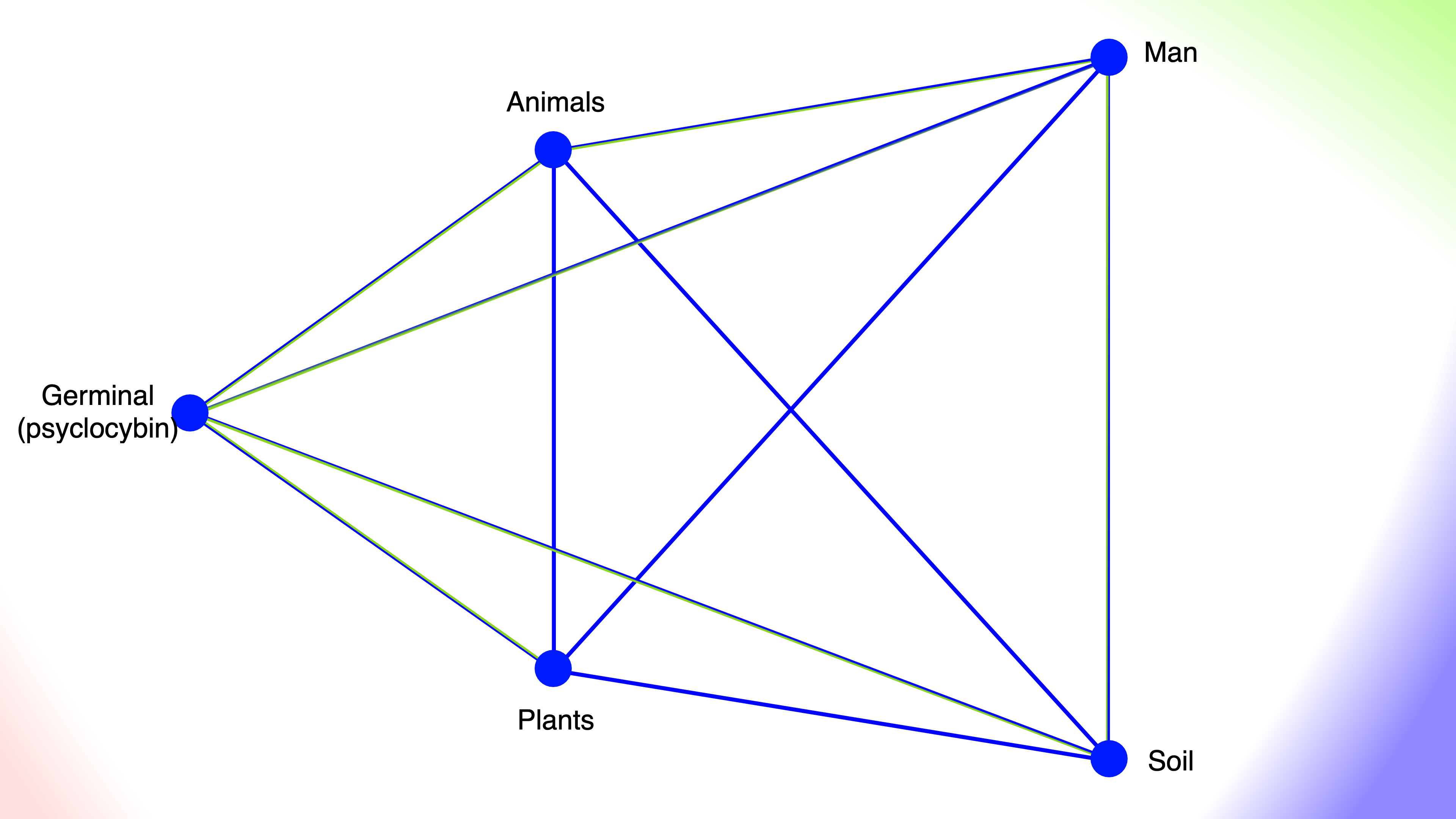 Vital Cosmos Pattern