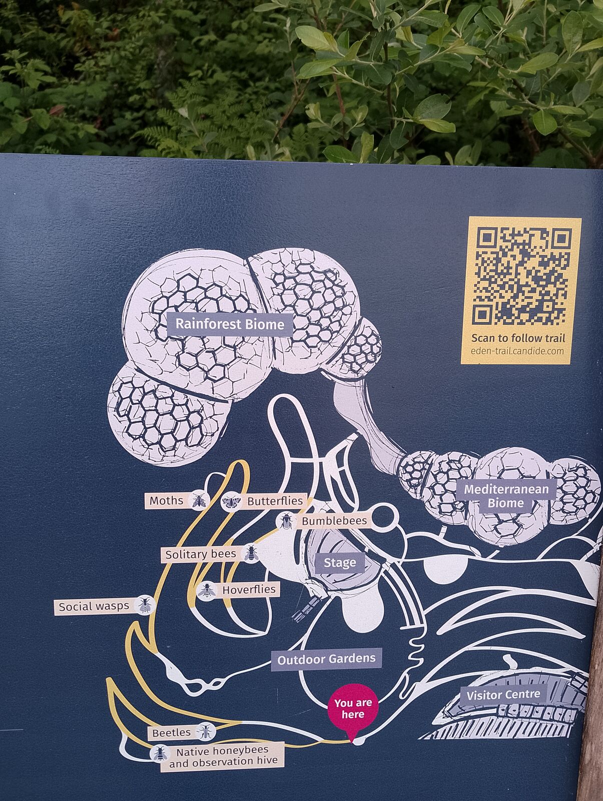 Eden Project