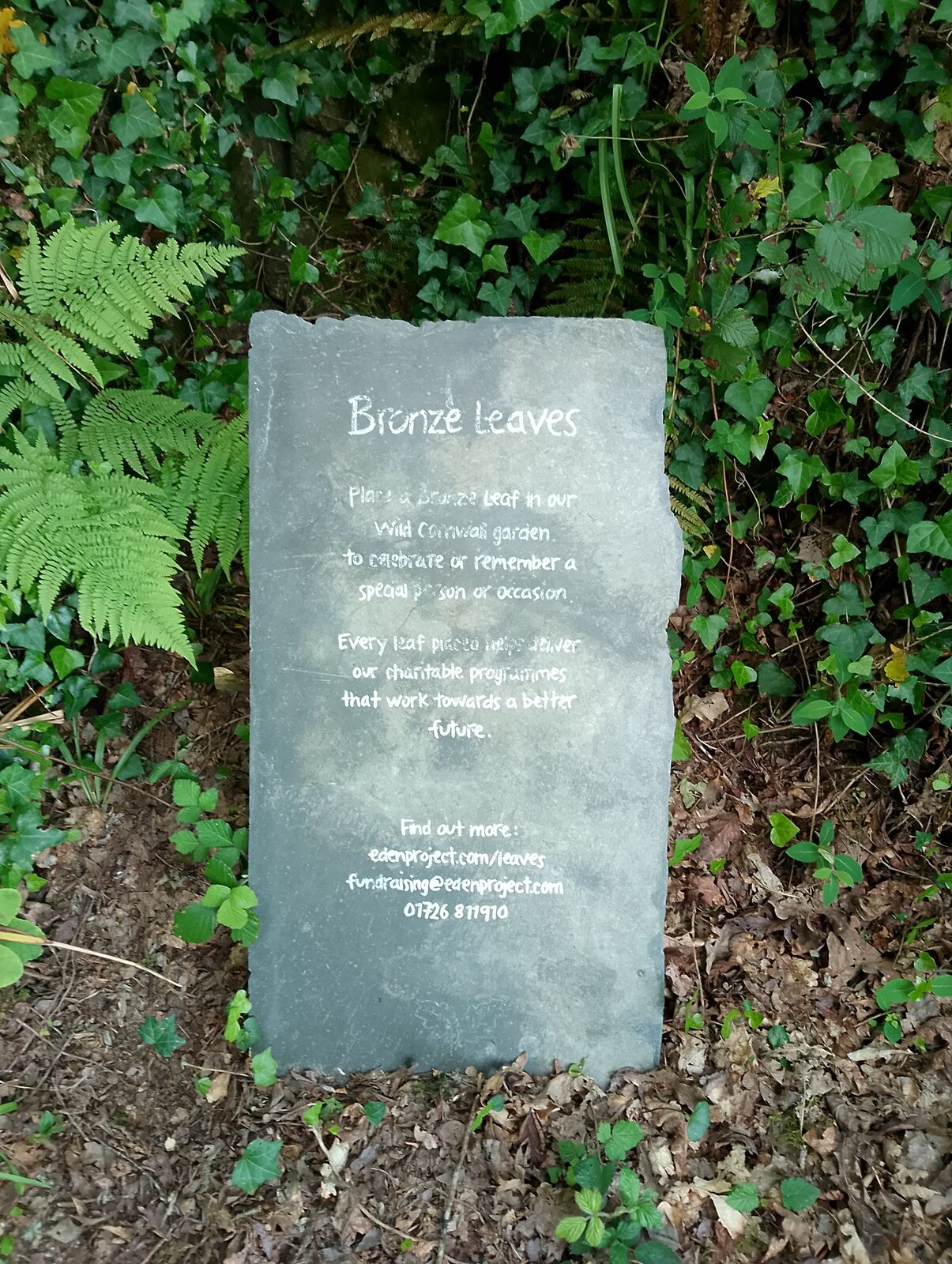 Eden Project