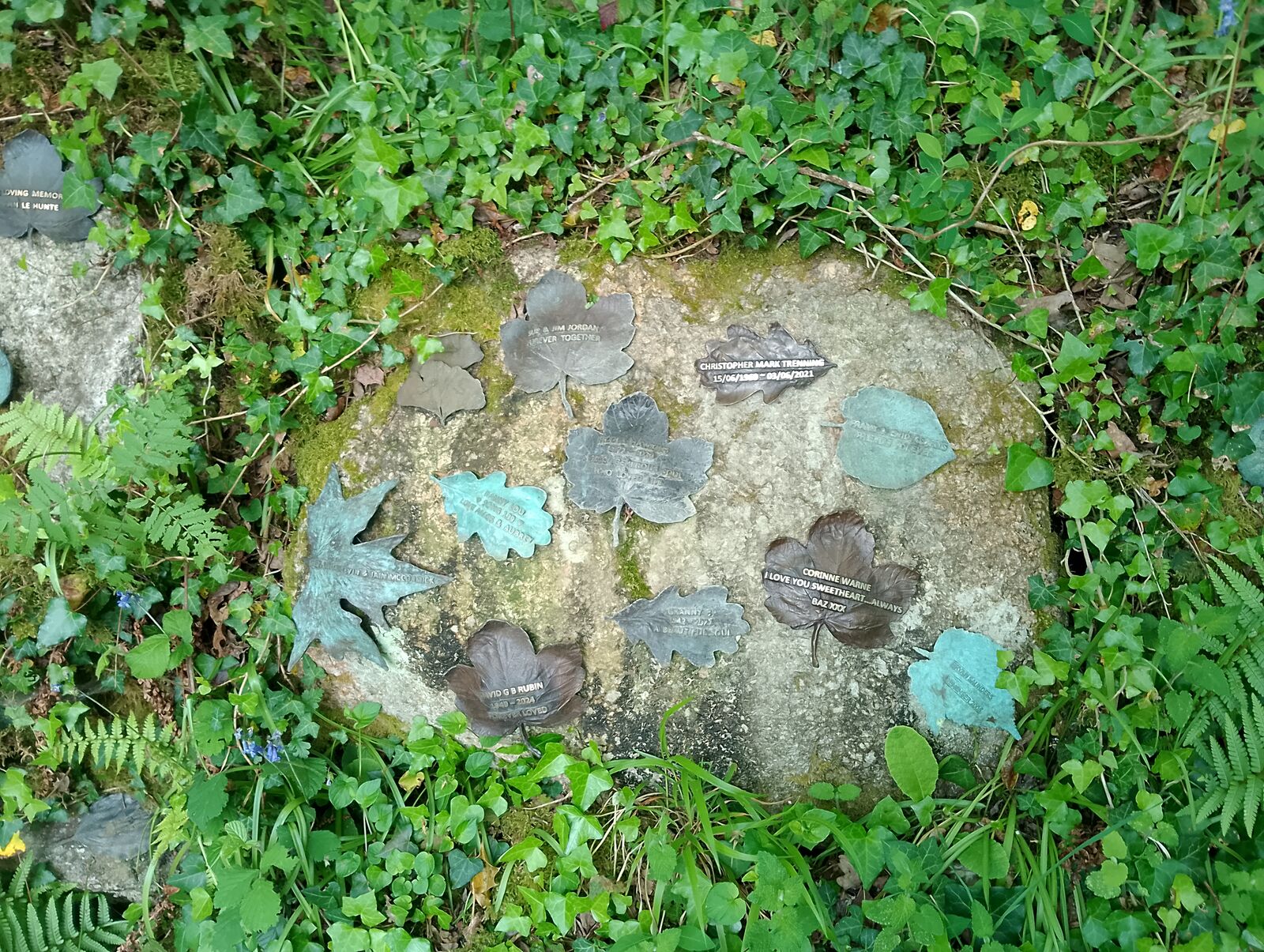 Eden Project