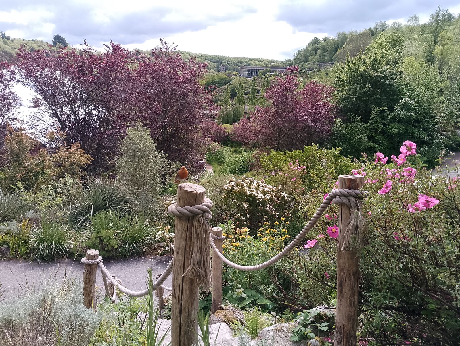 Eden Project
