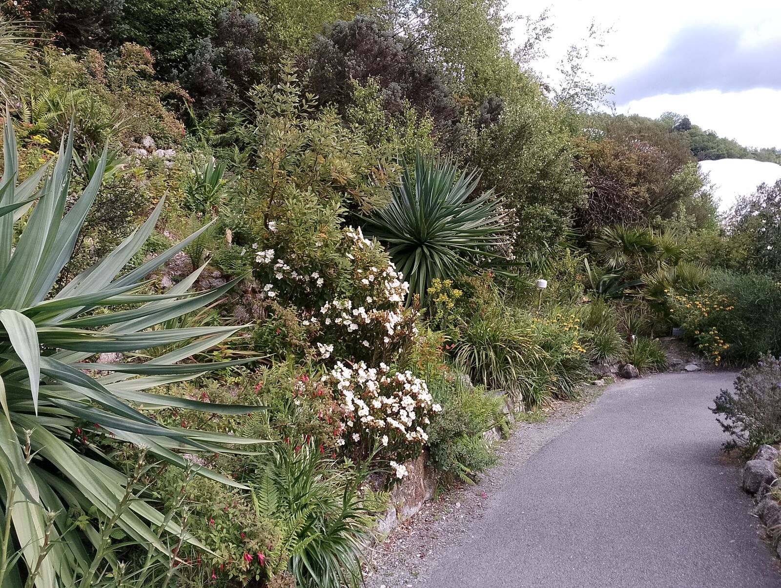 Eden Project