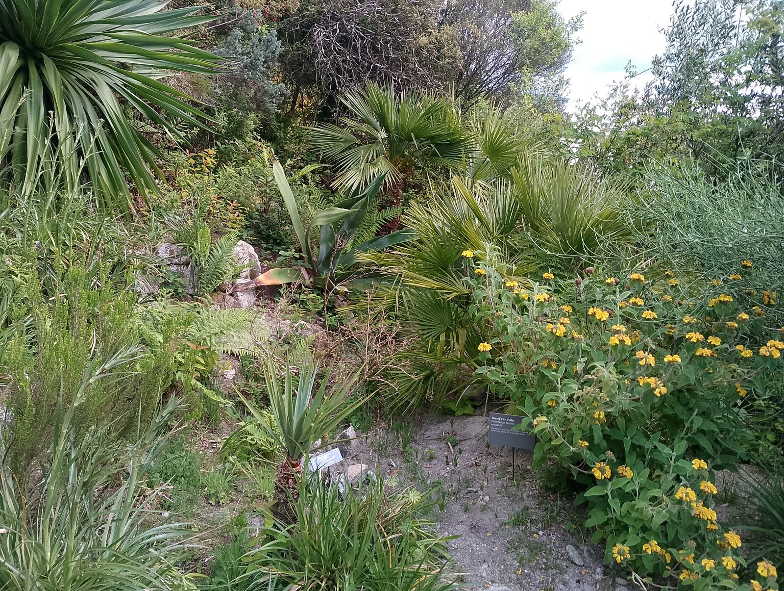 Eden Project