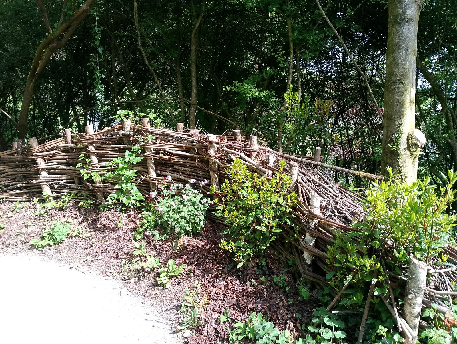 Eden Project