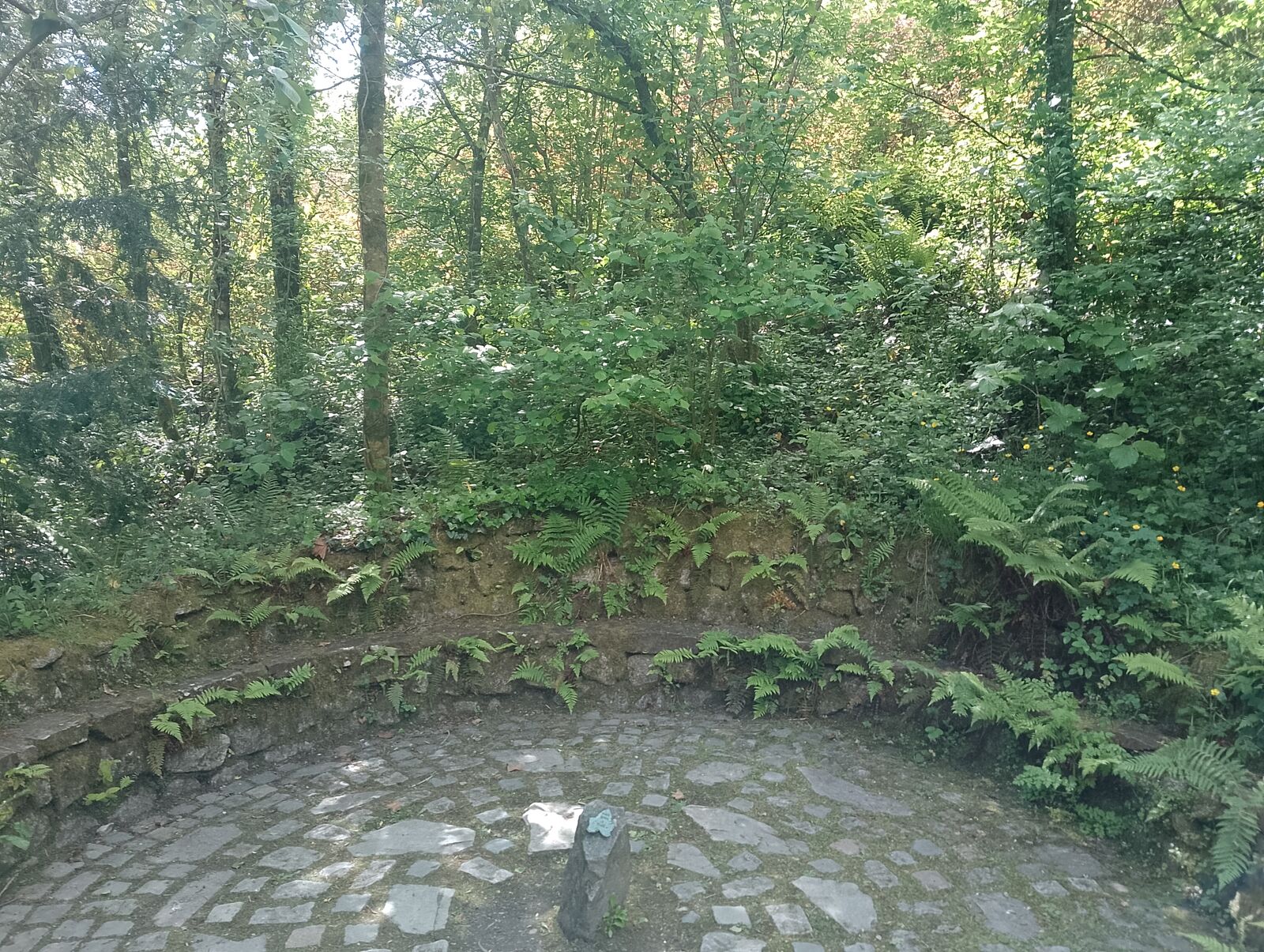 Eden Project