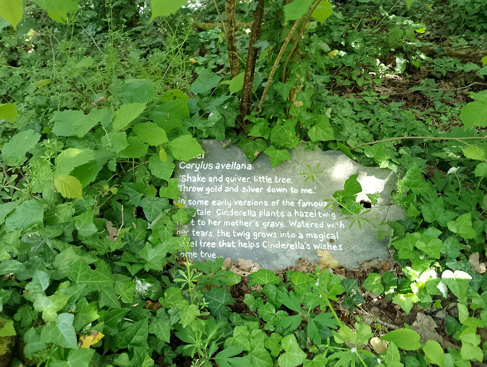 Eden Project