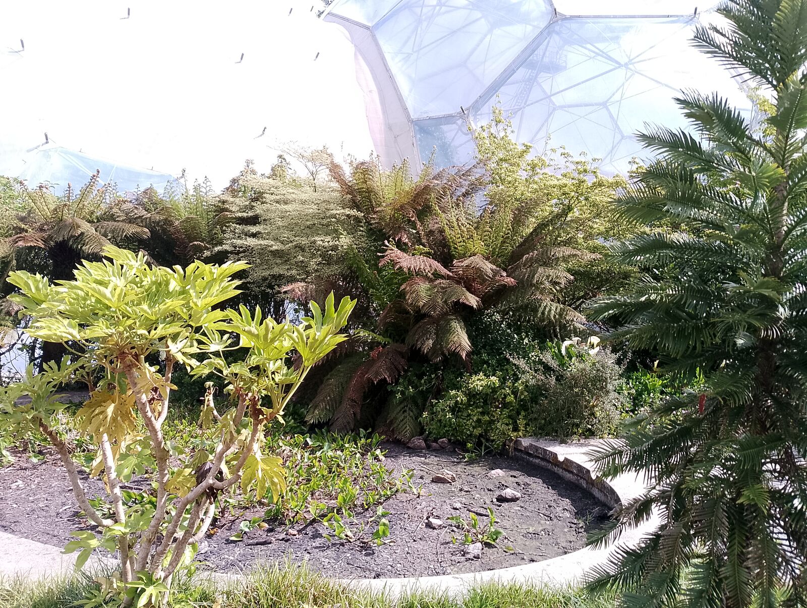 Eden Project