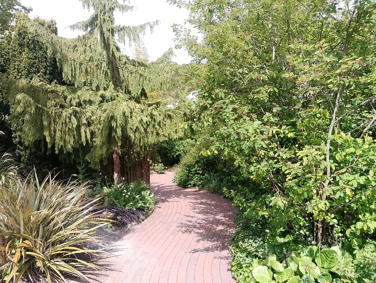 Eden Project