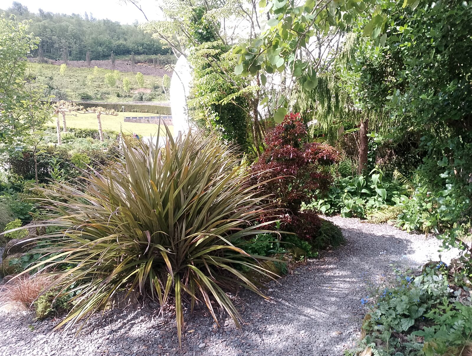 Eden Project