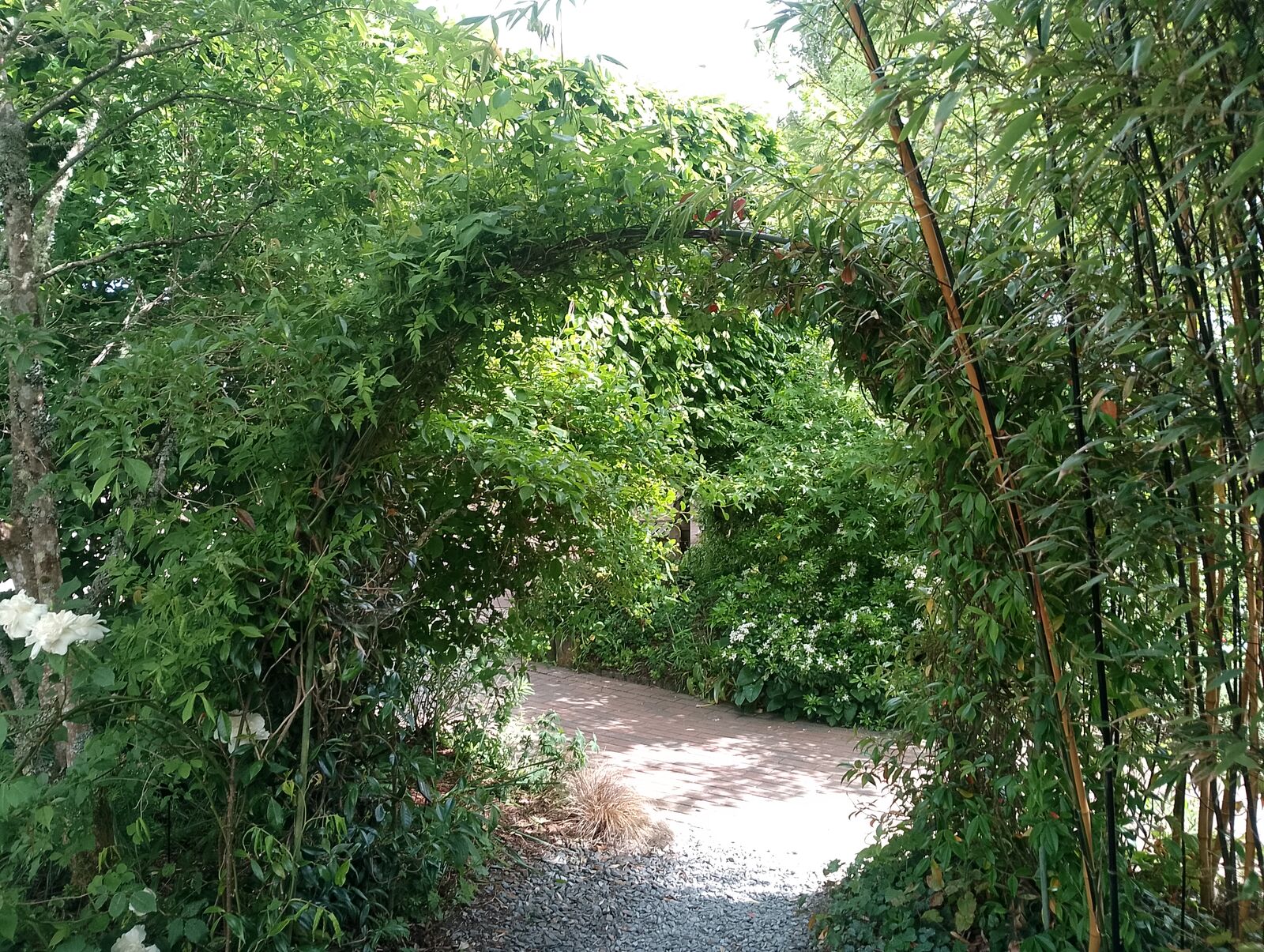 Eden Project