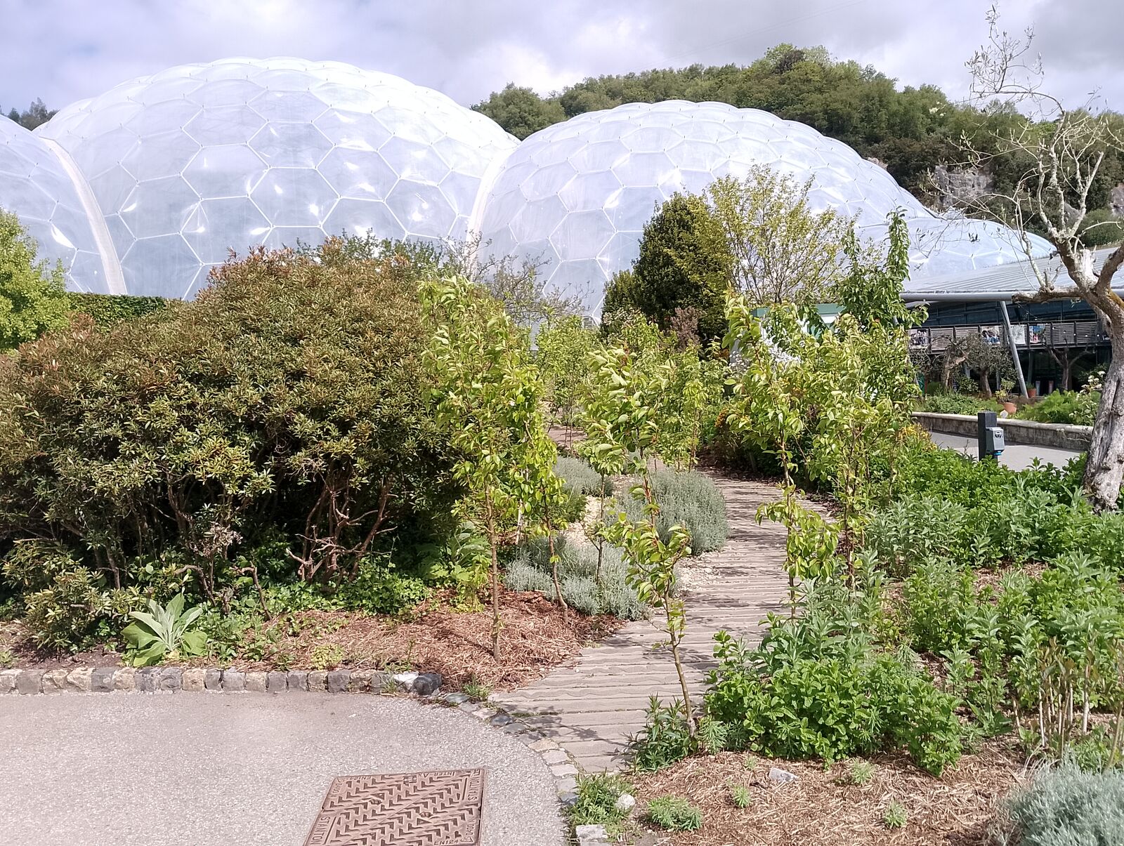 Eden Project