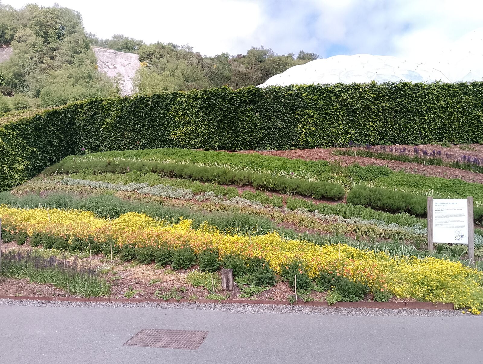 Eden Project