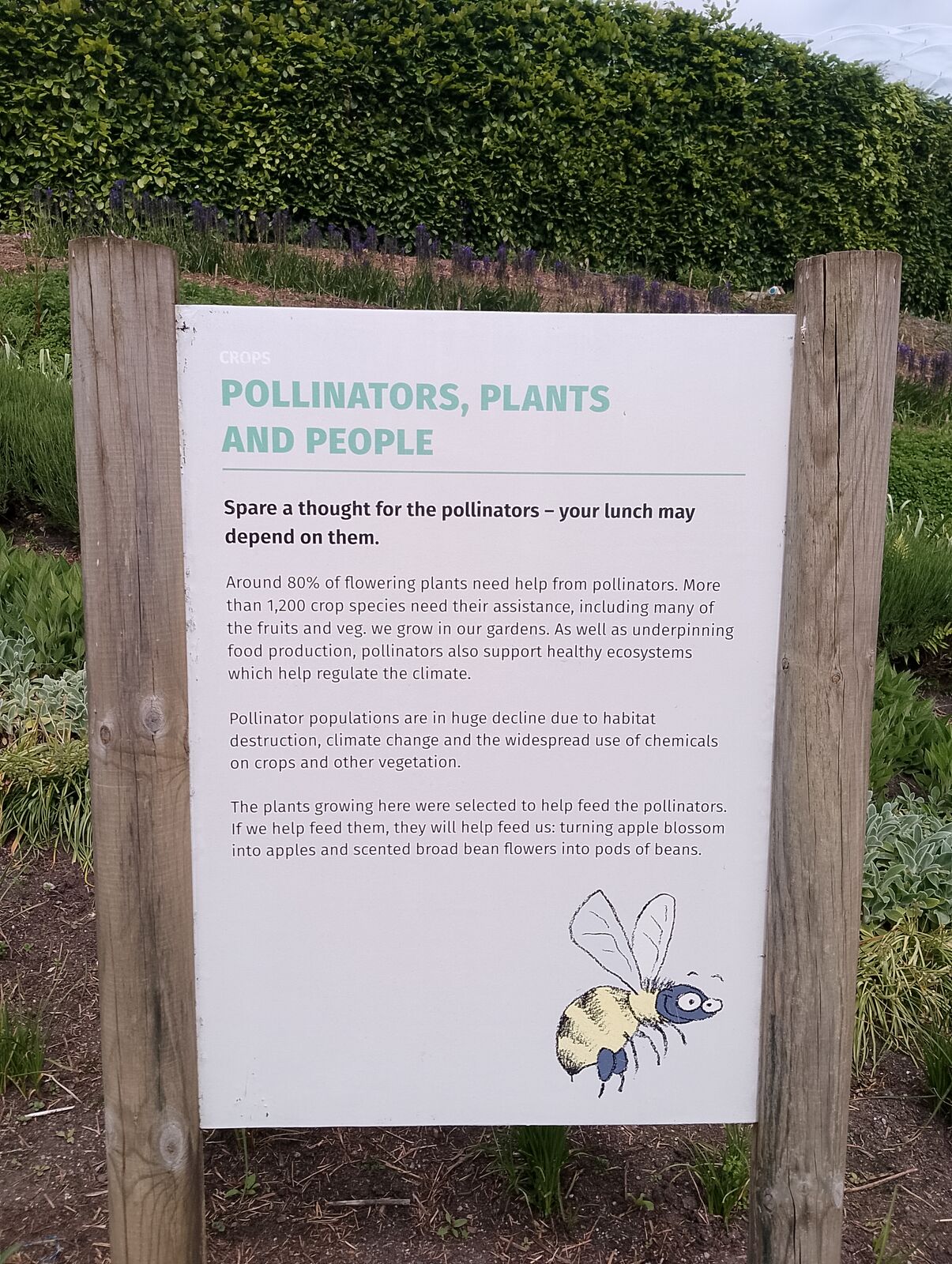 Eden Project