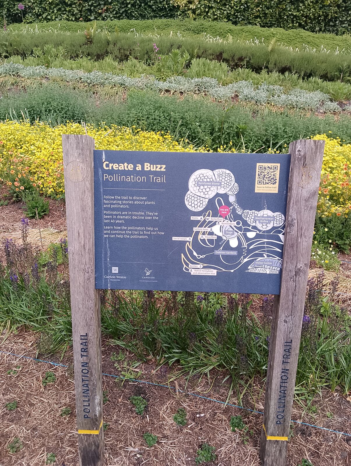 Eden Project