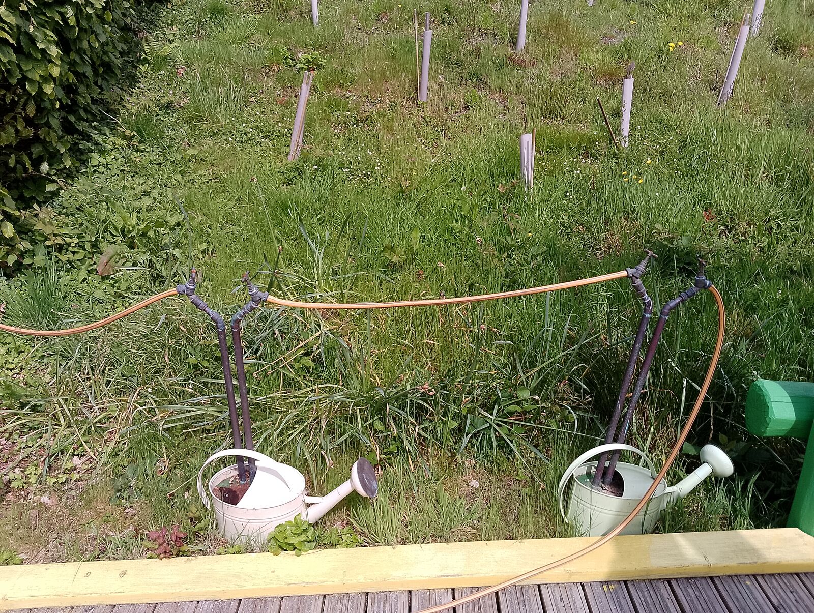 Eden Project