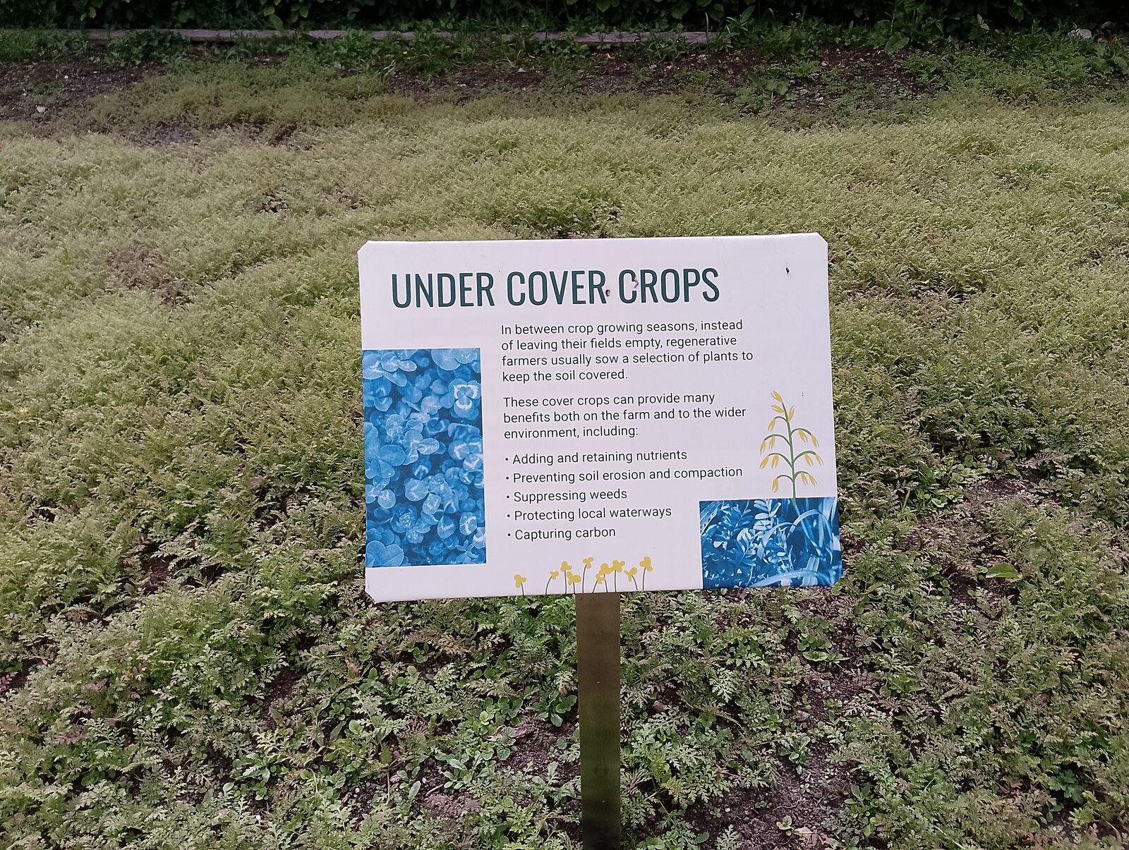 Eden Project