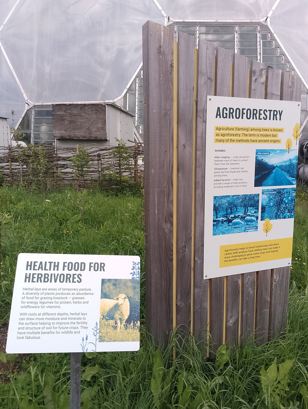 Eden Project