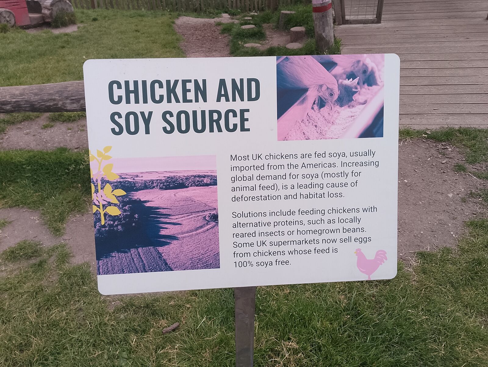 Eden Project