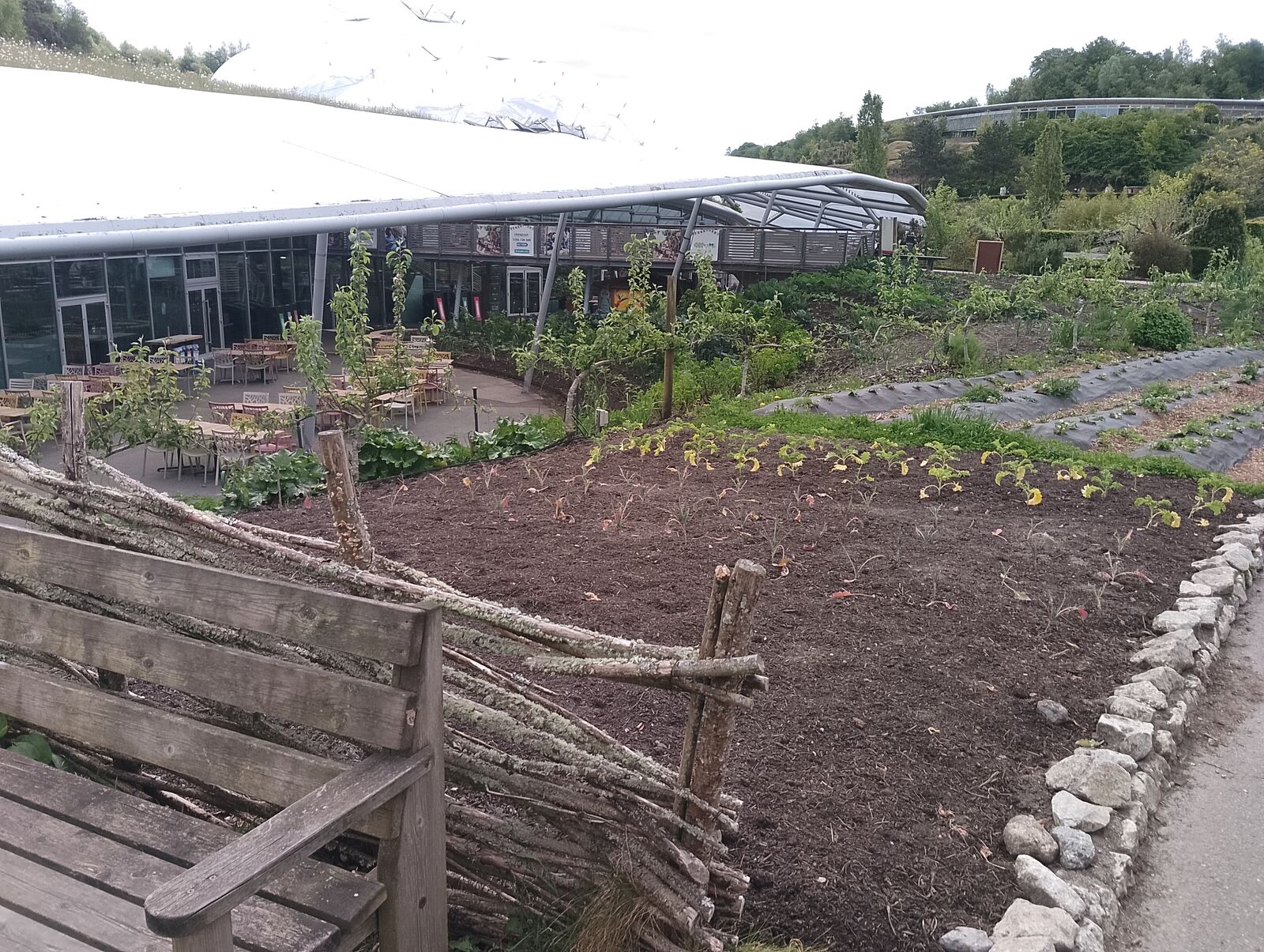 Eden Project
