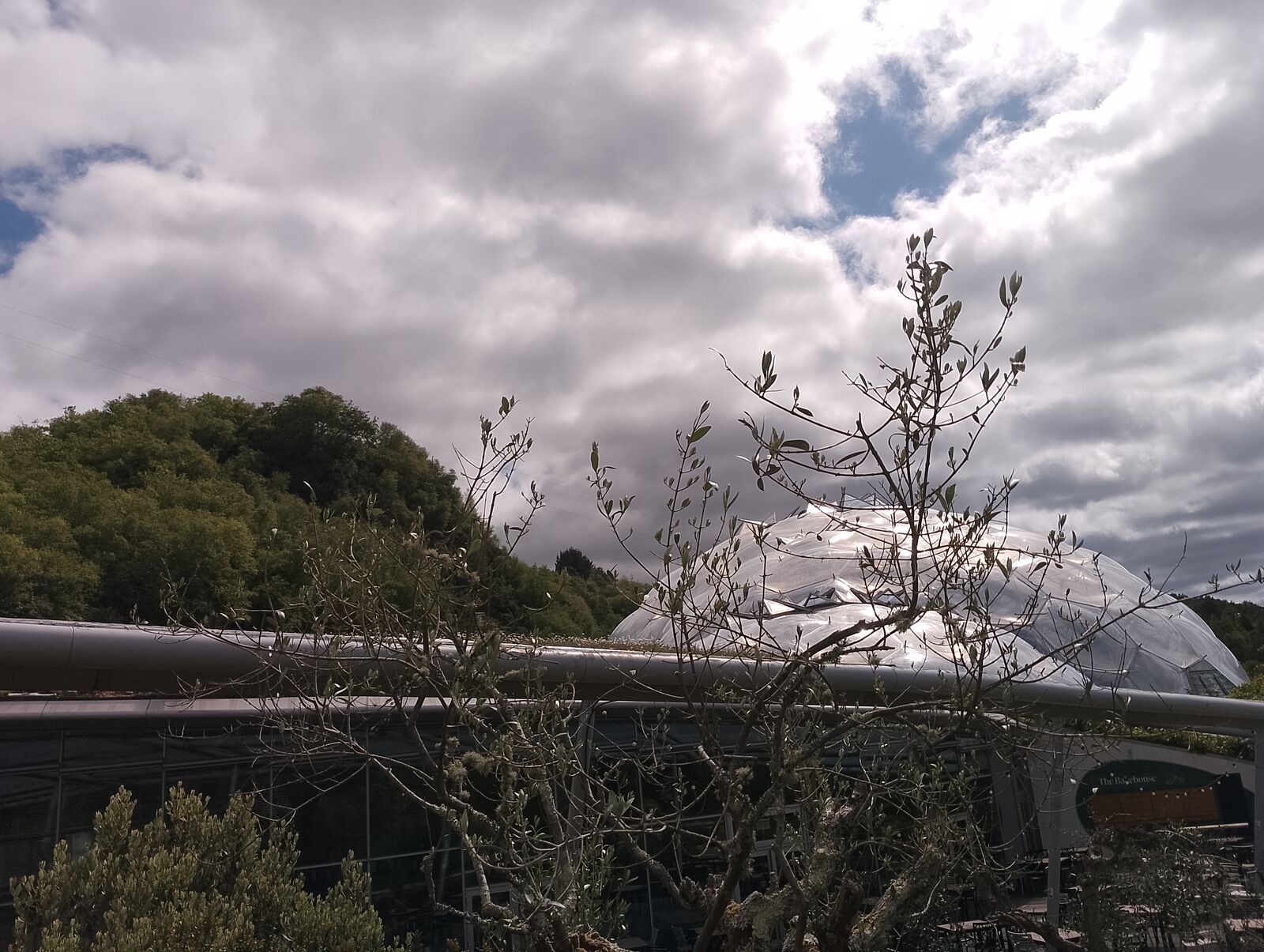 Eden Project