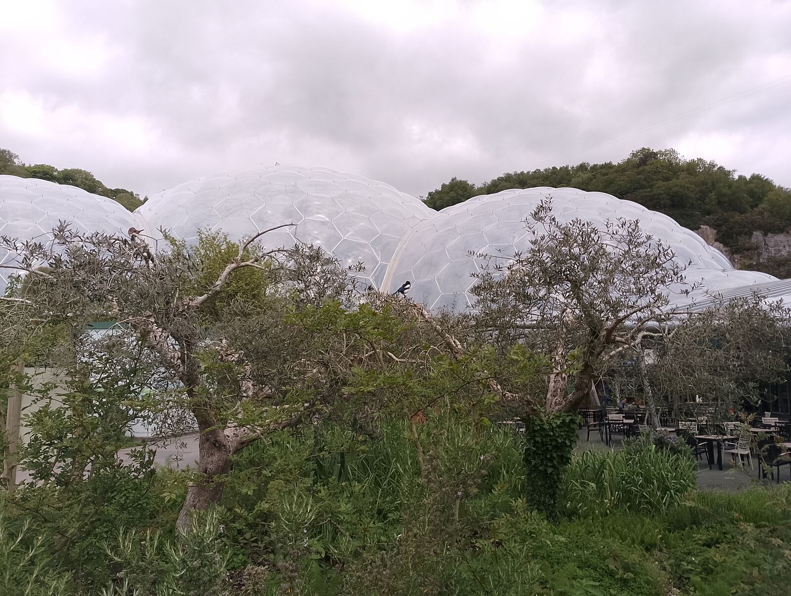 Eden Project