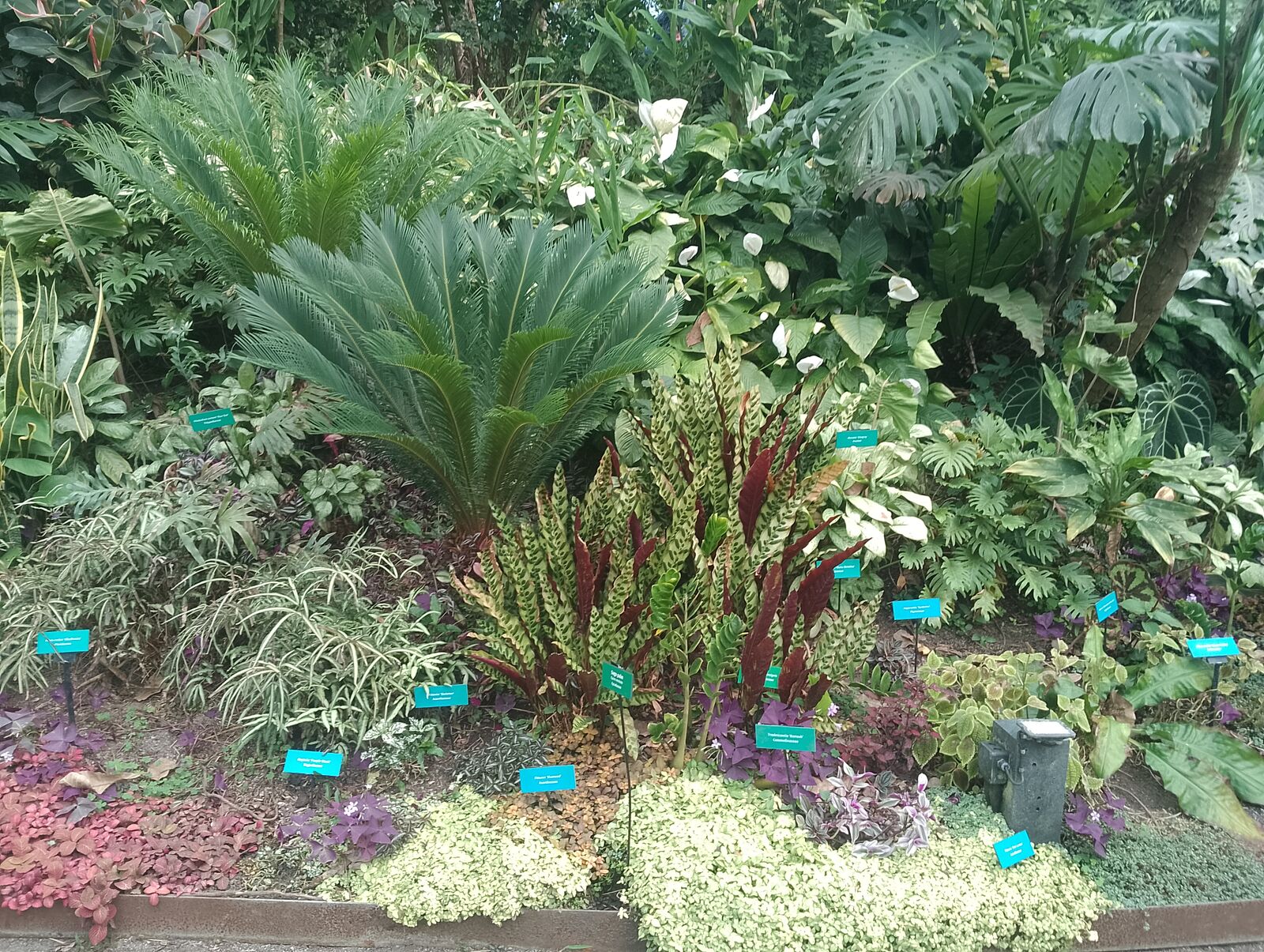 Eden Project