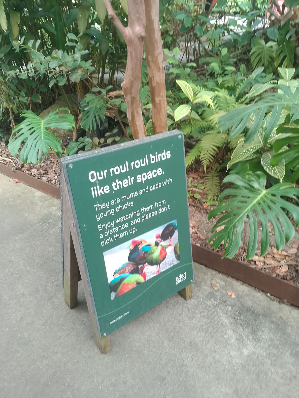 Eden Project
