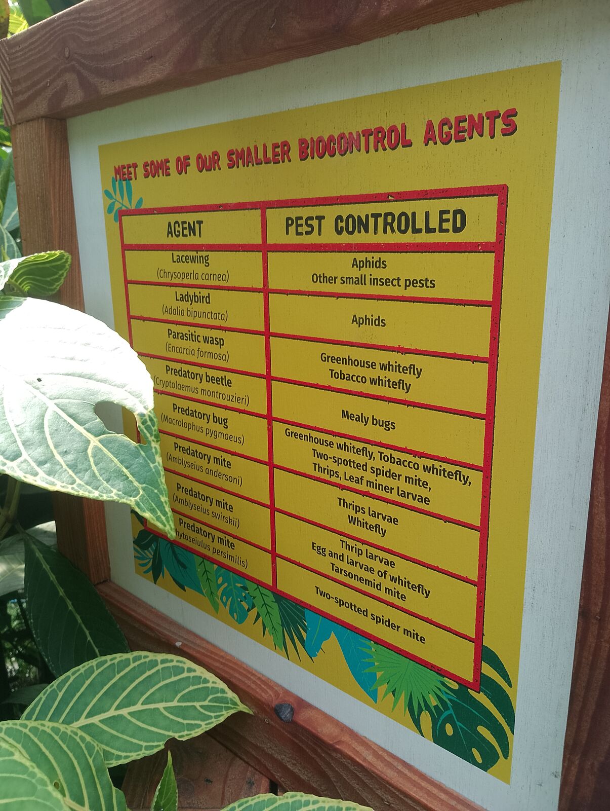 Eden Project