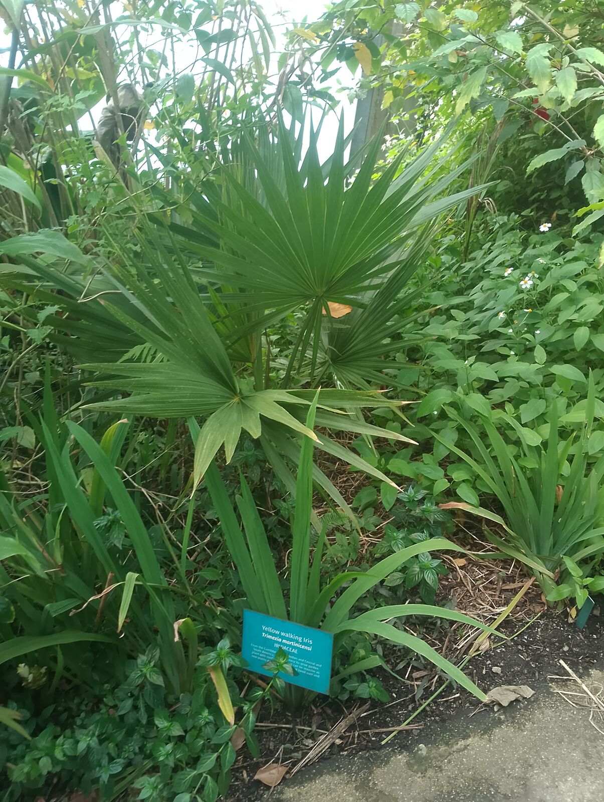 Eden Project