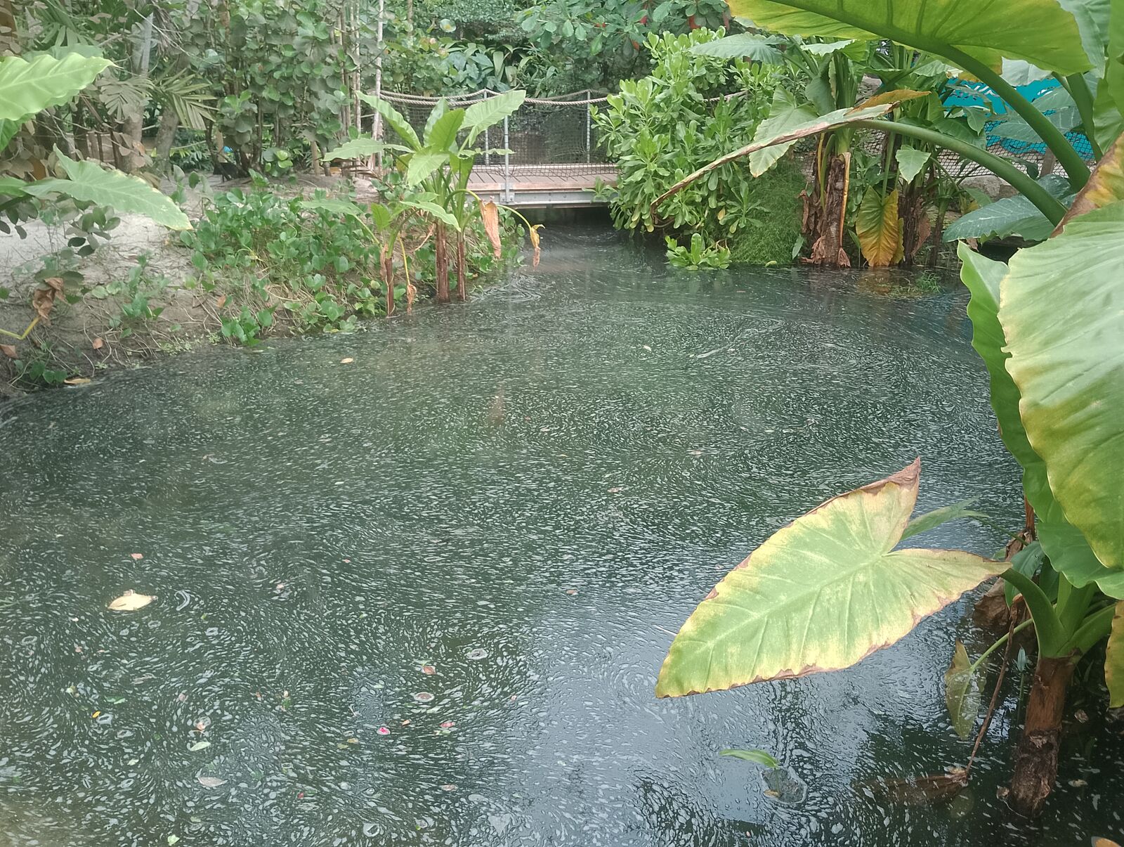 Eden Project