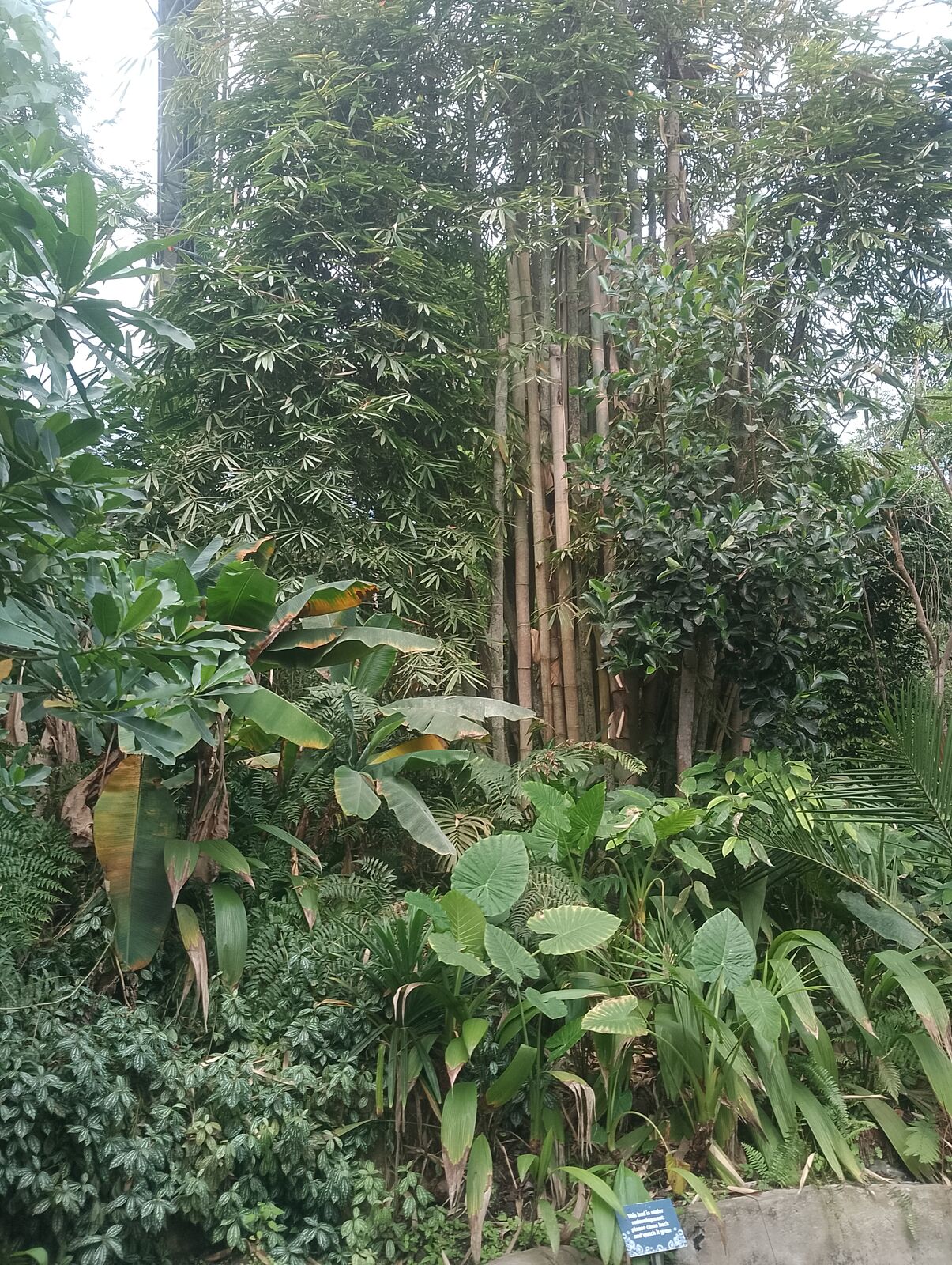 Eden Project