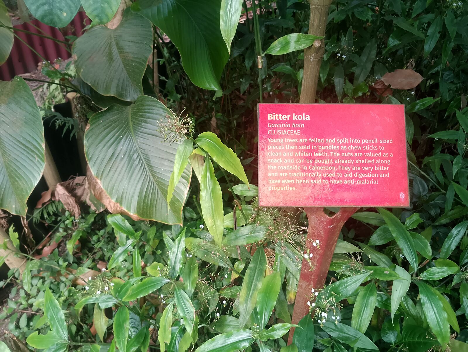 Eden Project