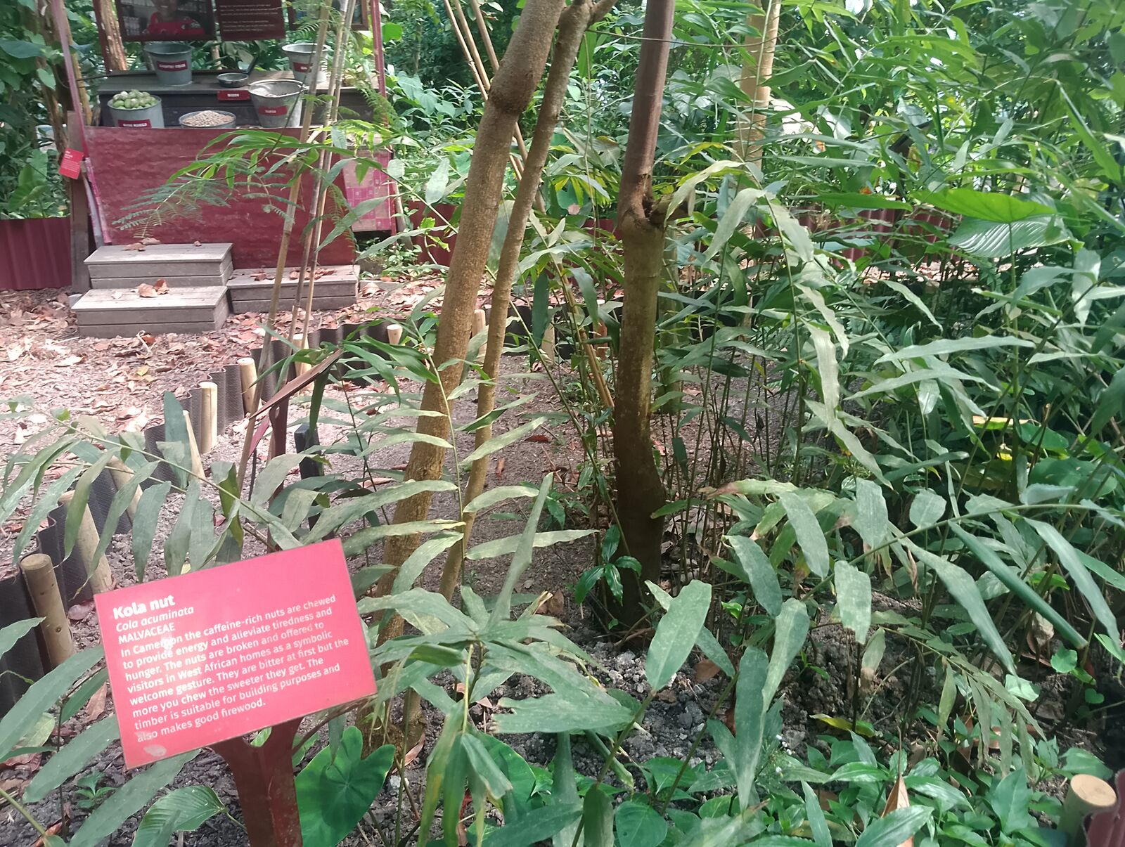 Eden Project