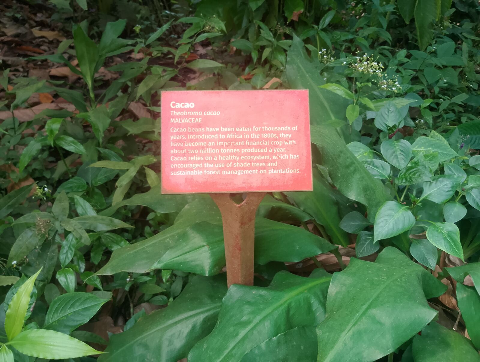 Eden Project