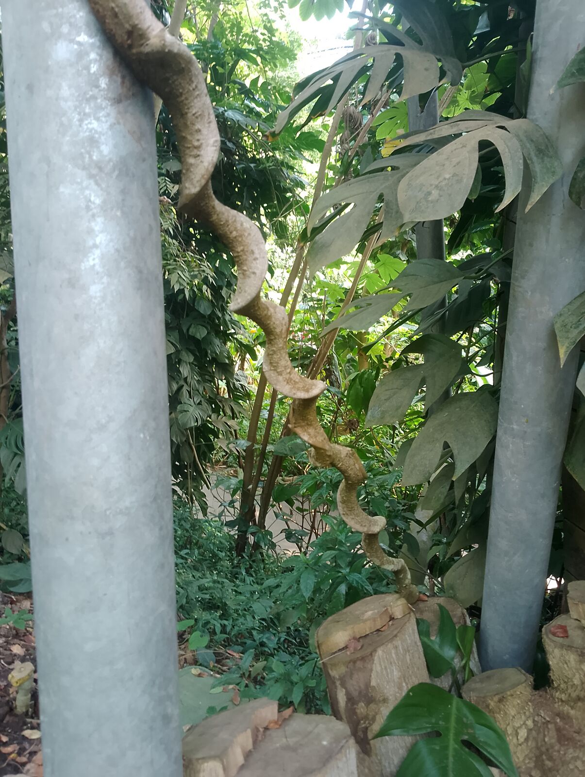 Eden Project