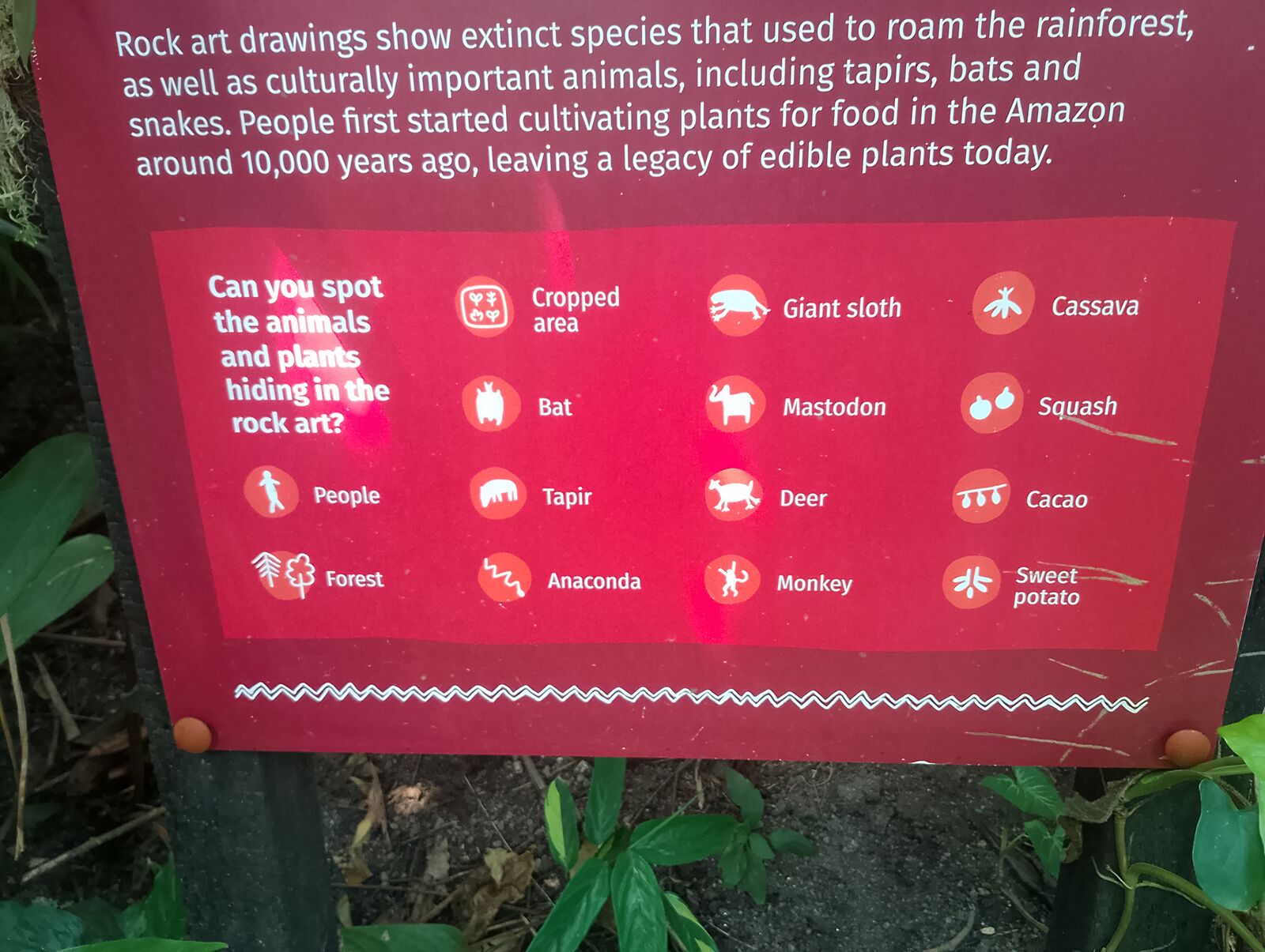 Eden Project