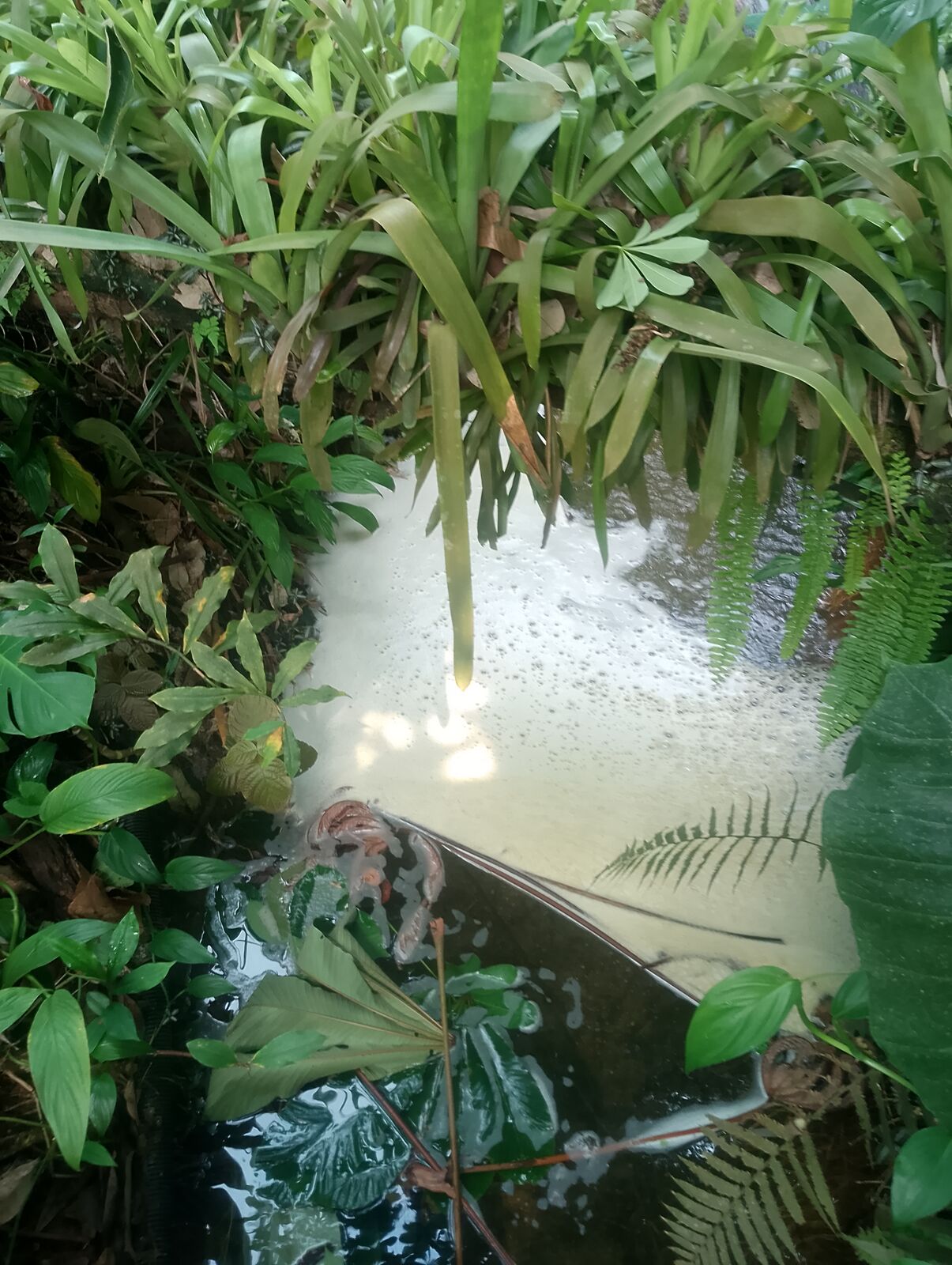Eden Project