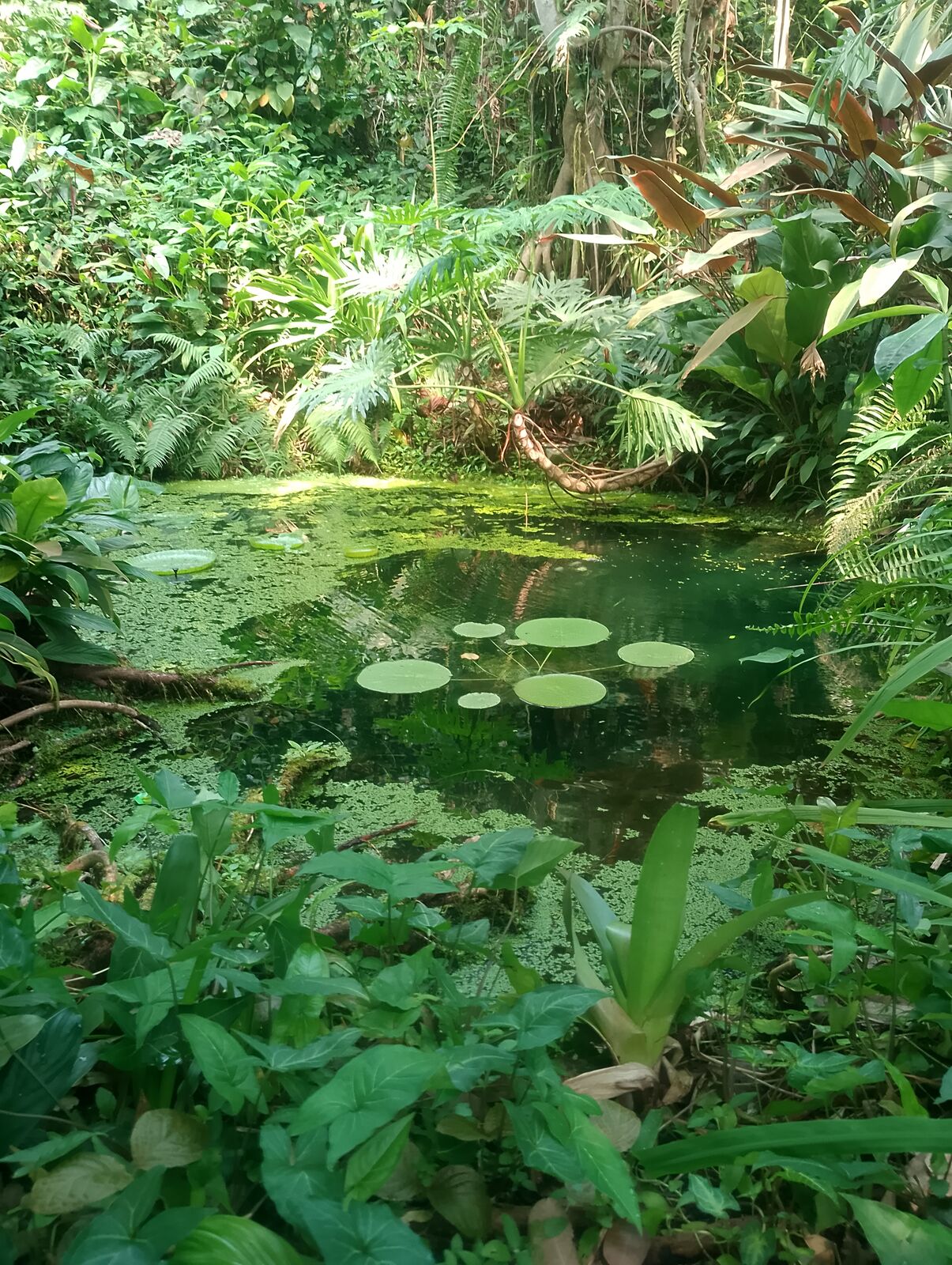 Eden Project