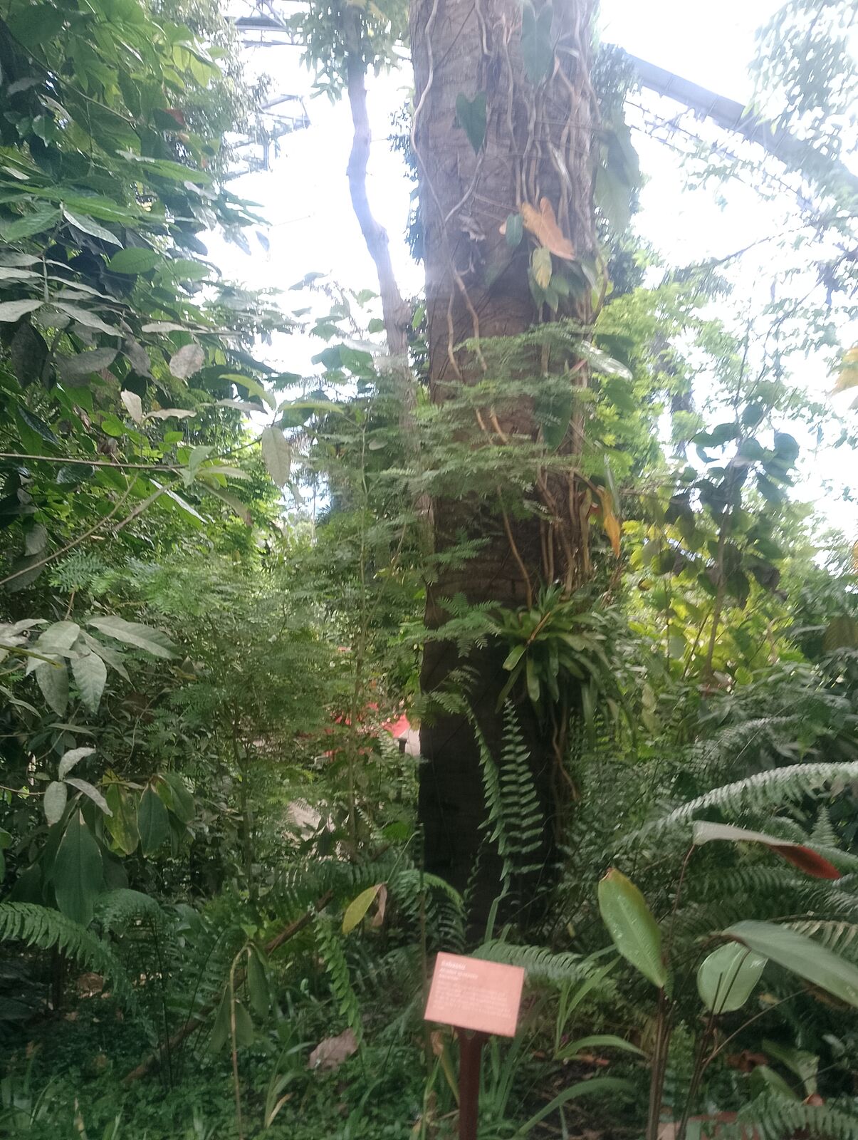 Eden Project