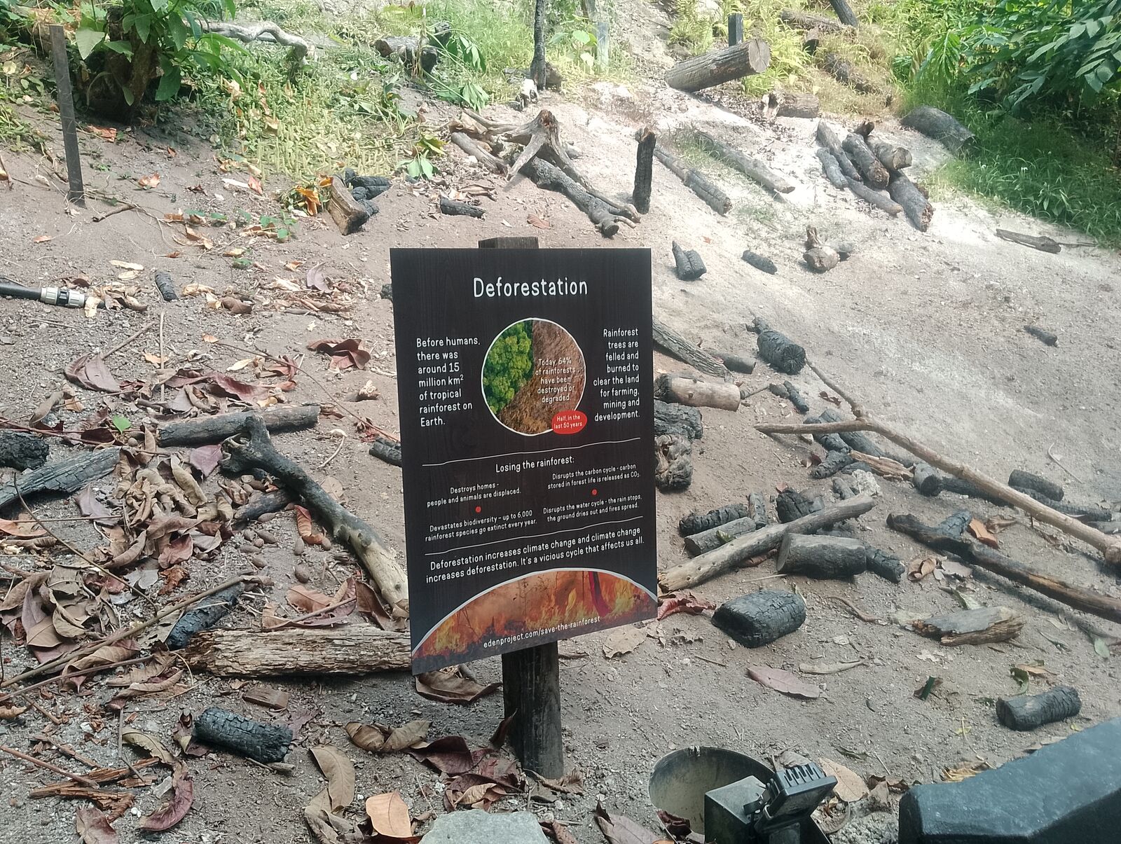 Eden Project