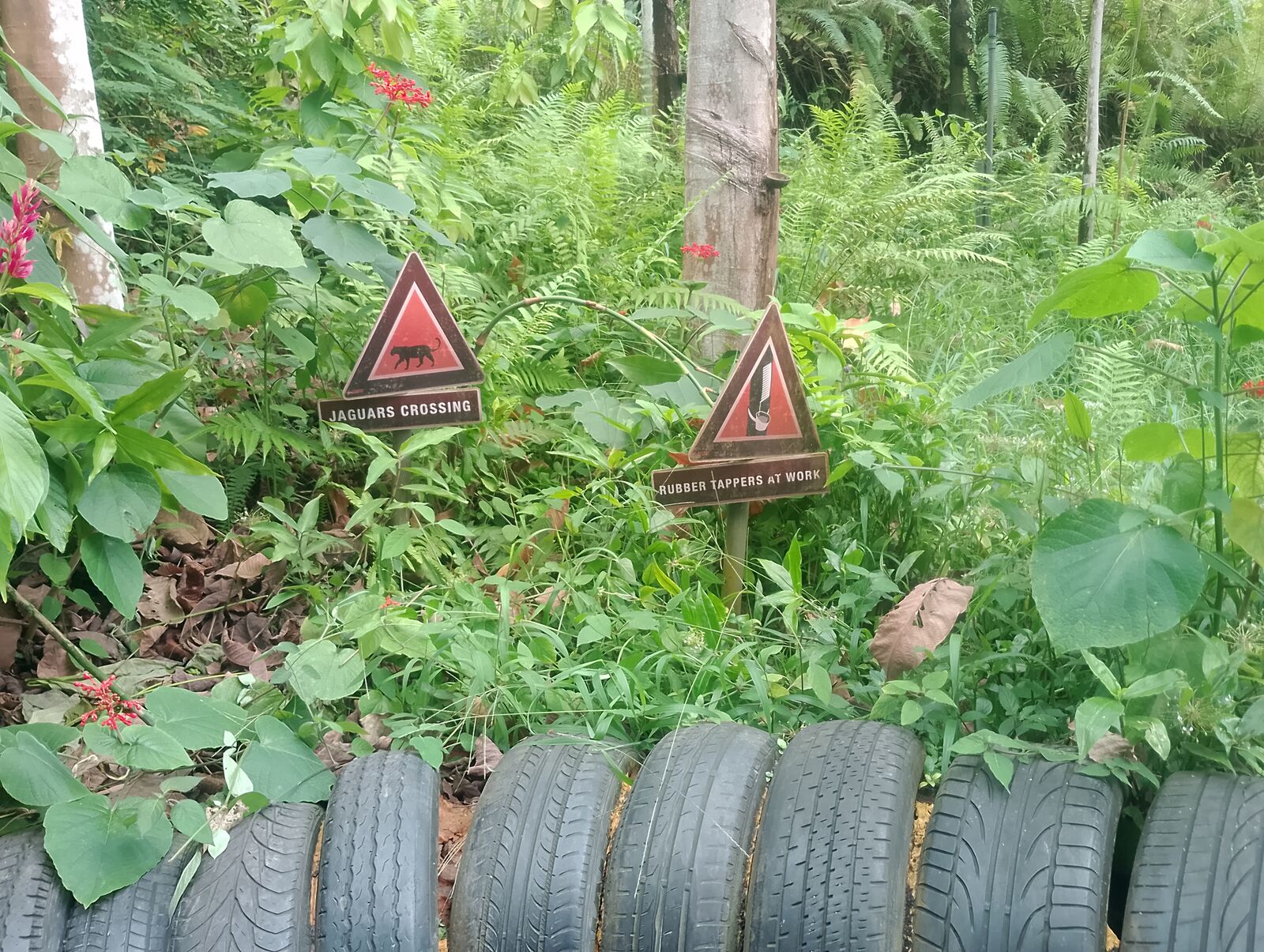 Eden Project