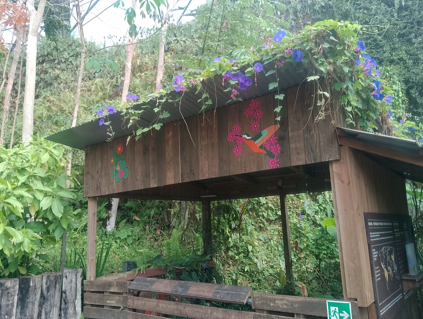 Eden Project