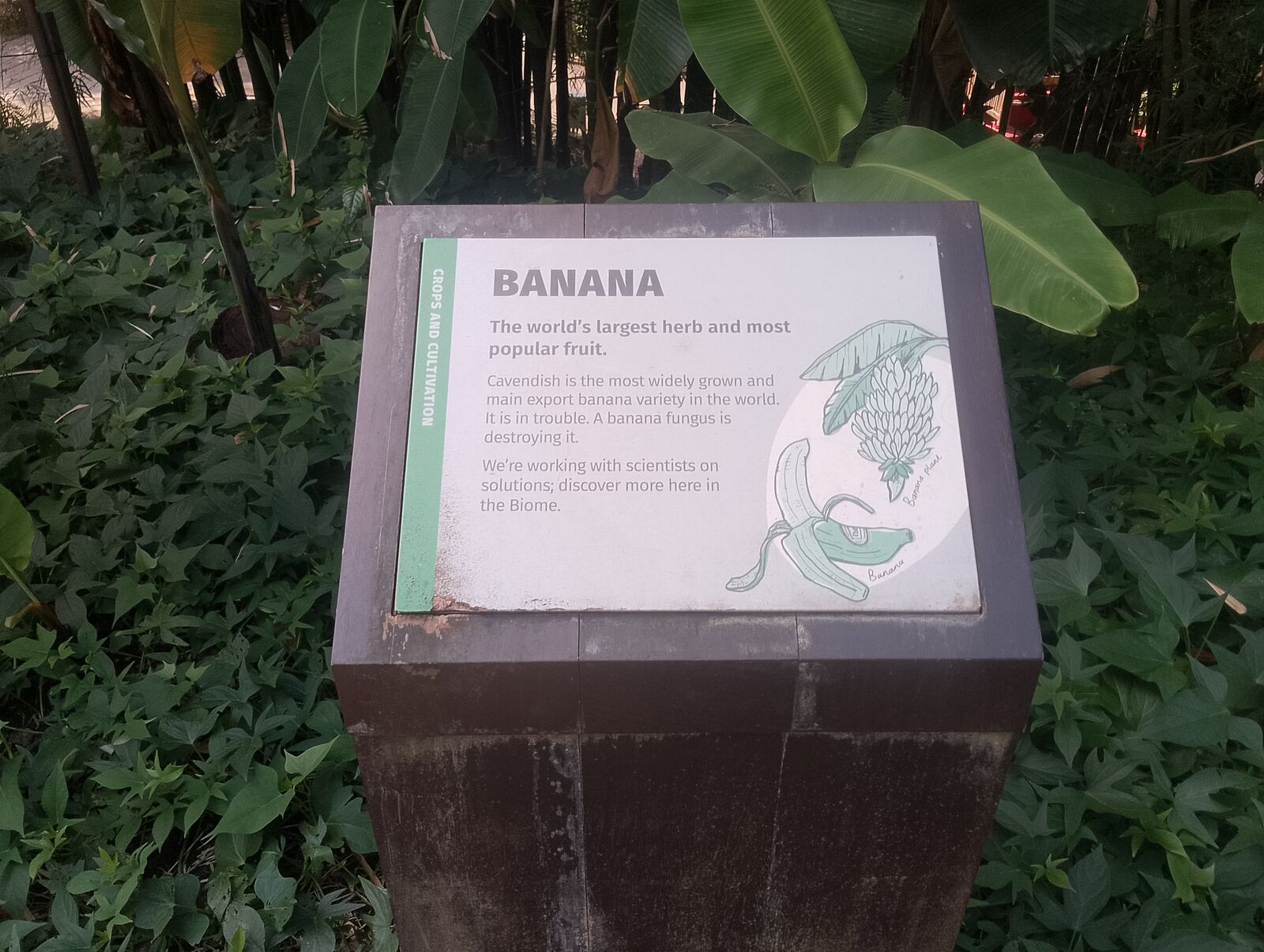 Eden Project