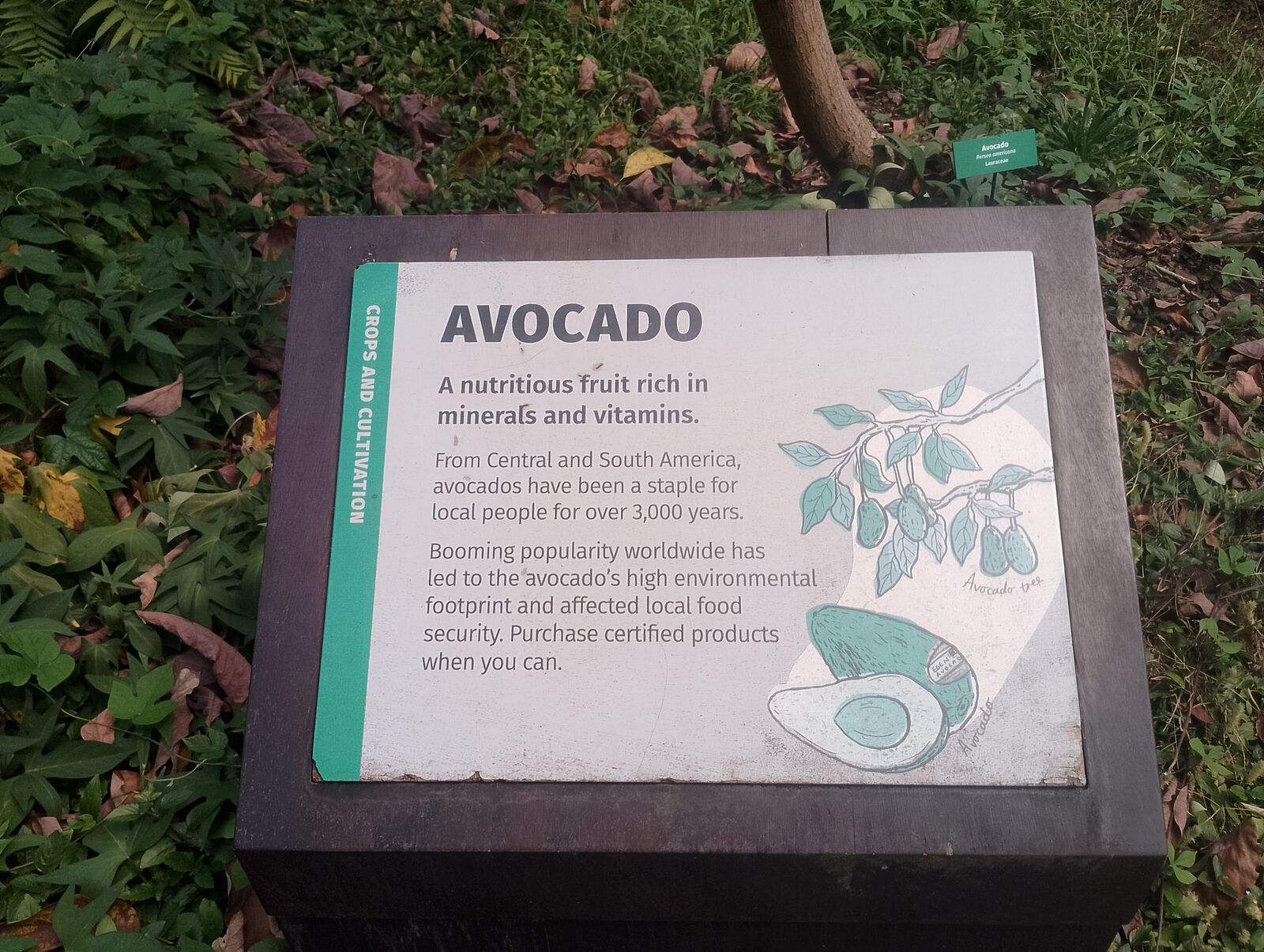 Eden Project