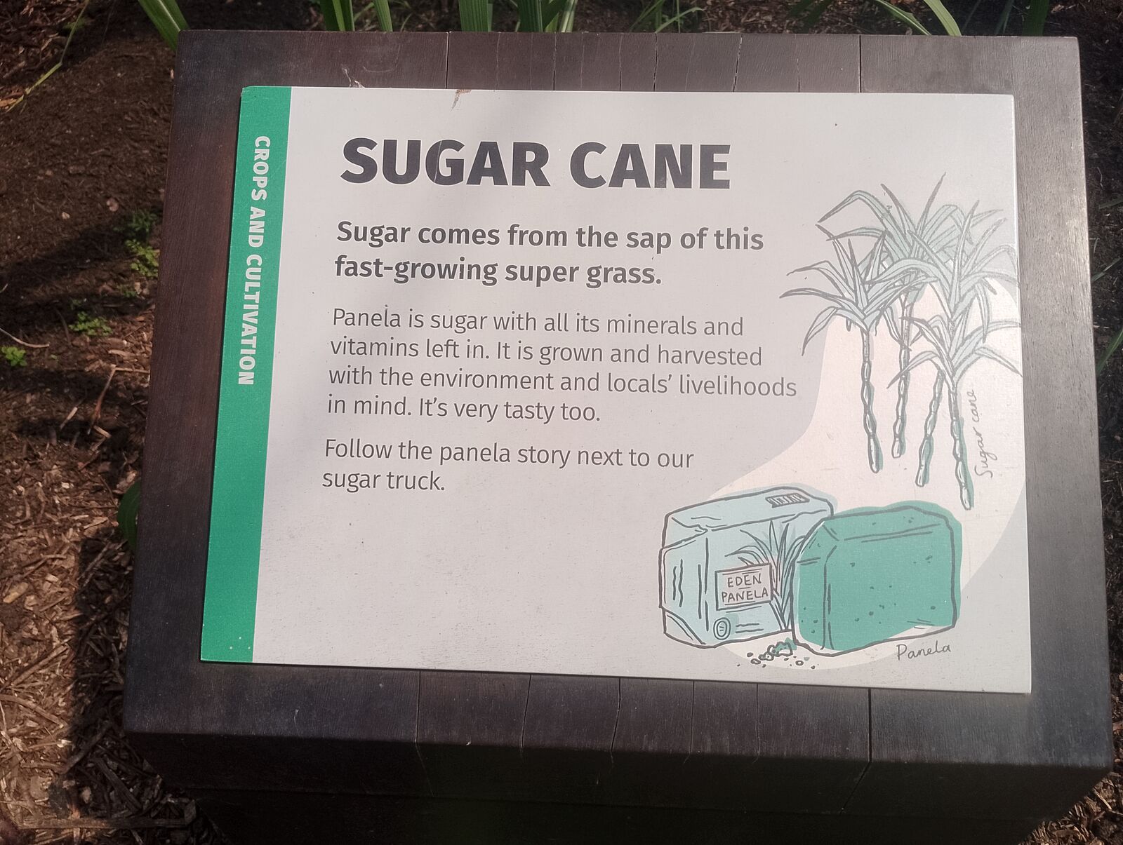 Eden Project
