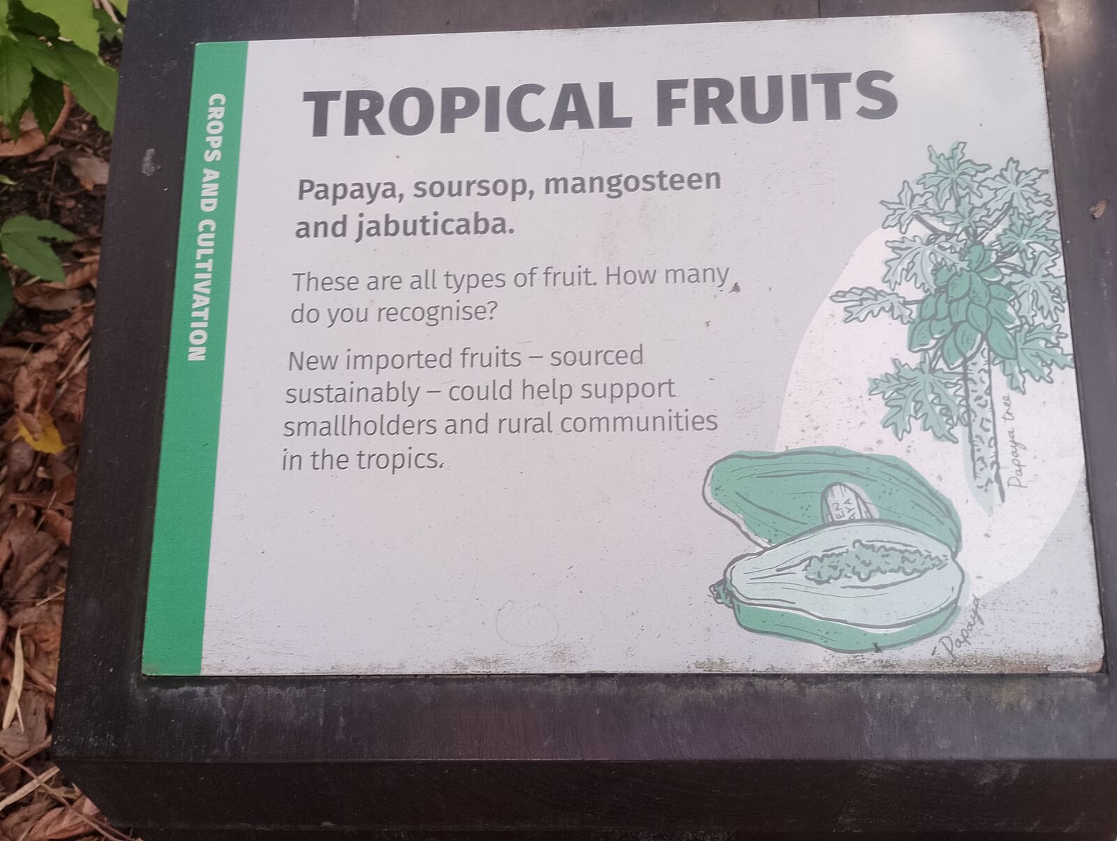 Eden Project