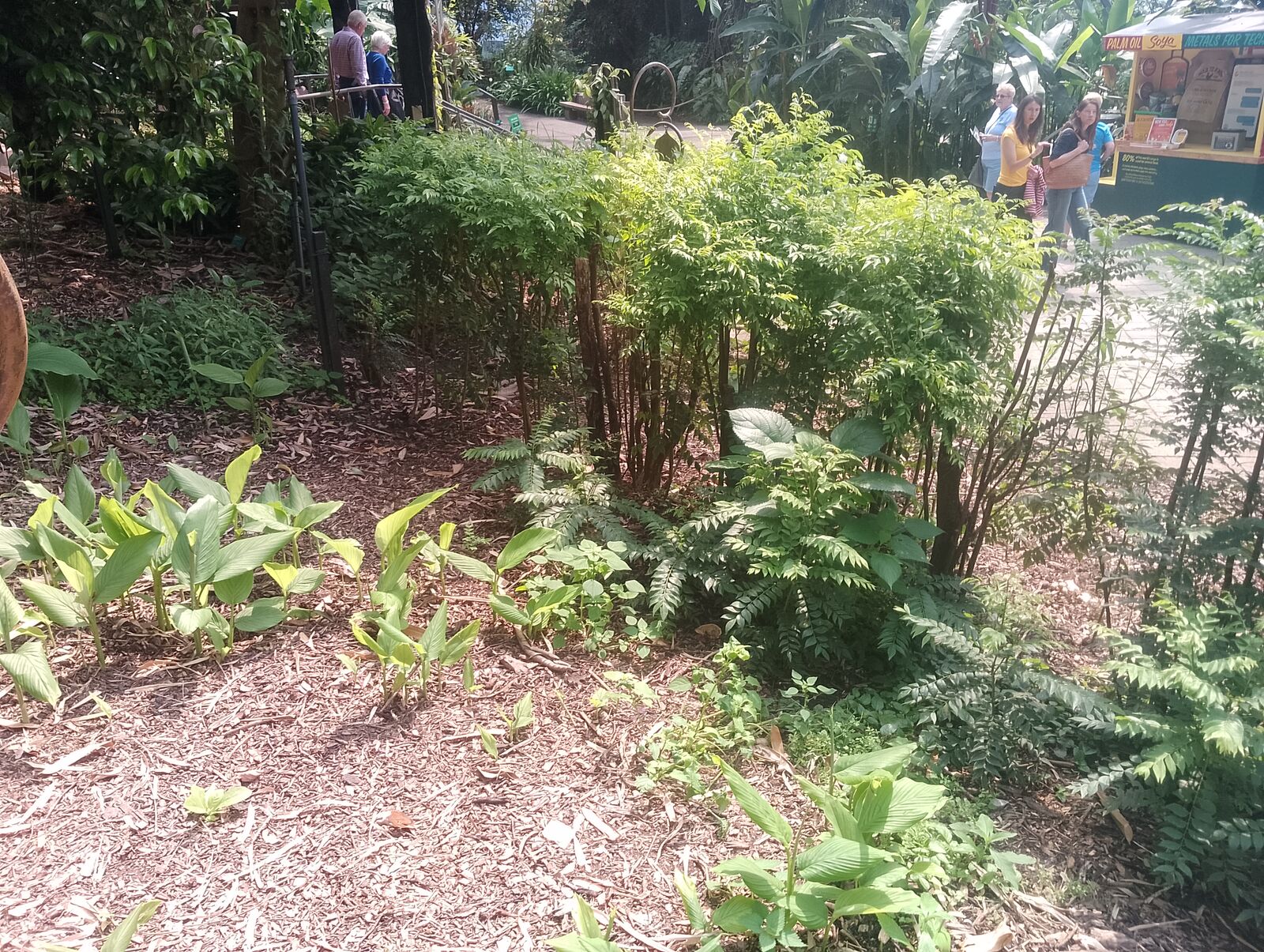 Eden Project