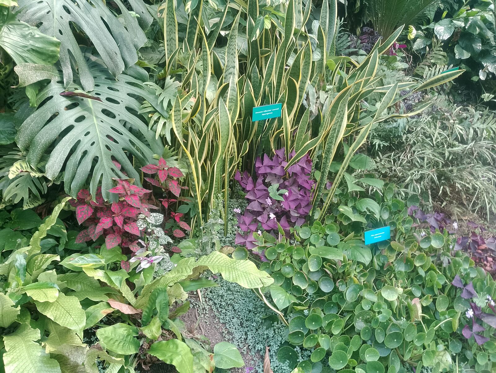 Eden Project