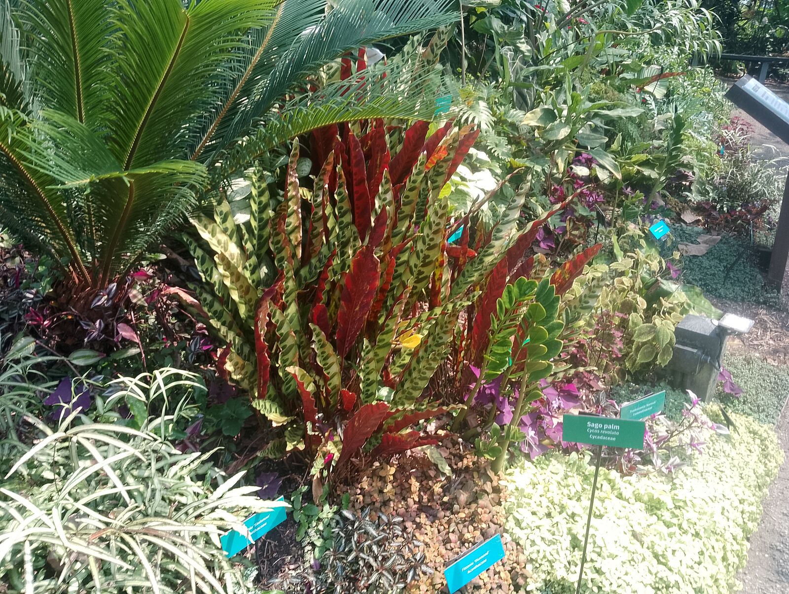 Eden Project